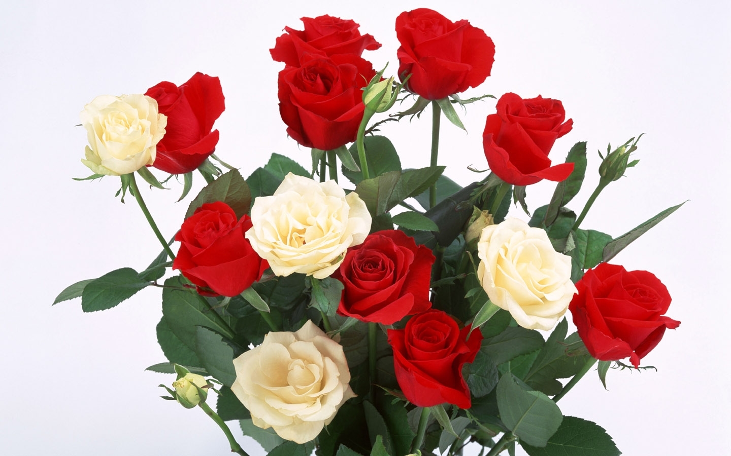 9025 скачать обои розы, цветы, растения, открытки, 8 марта - заставки и картинки бесплатно