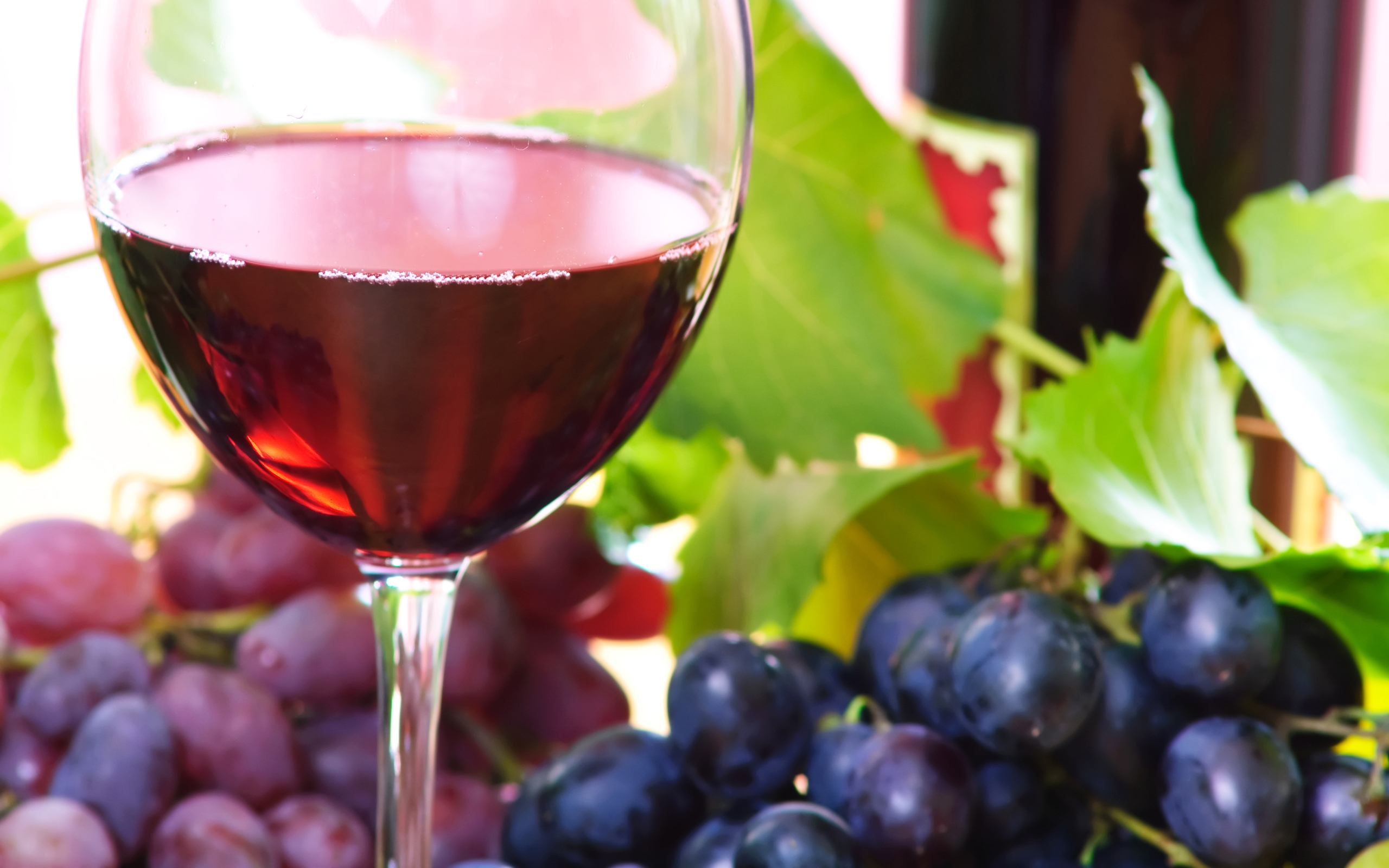 Free download wallpaper Food, Wine on your PC desktop