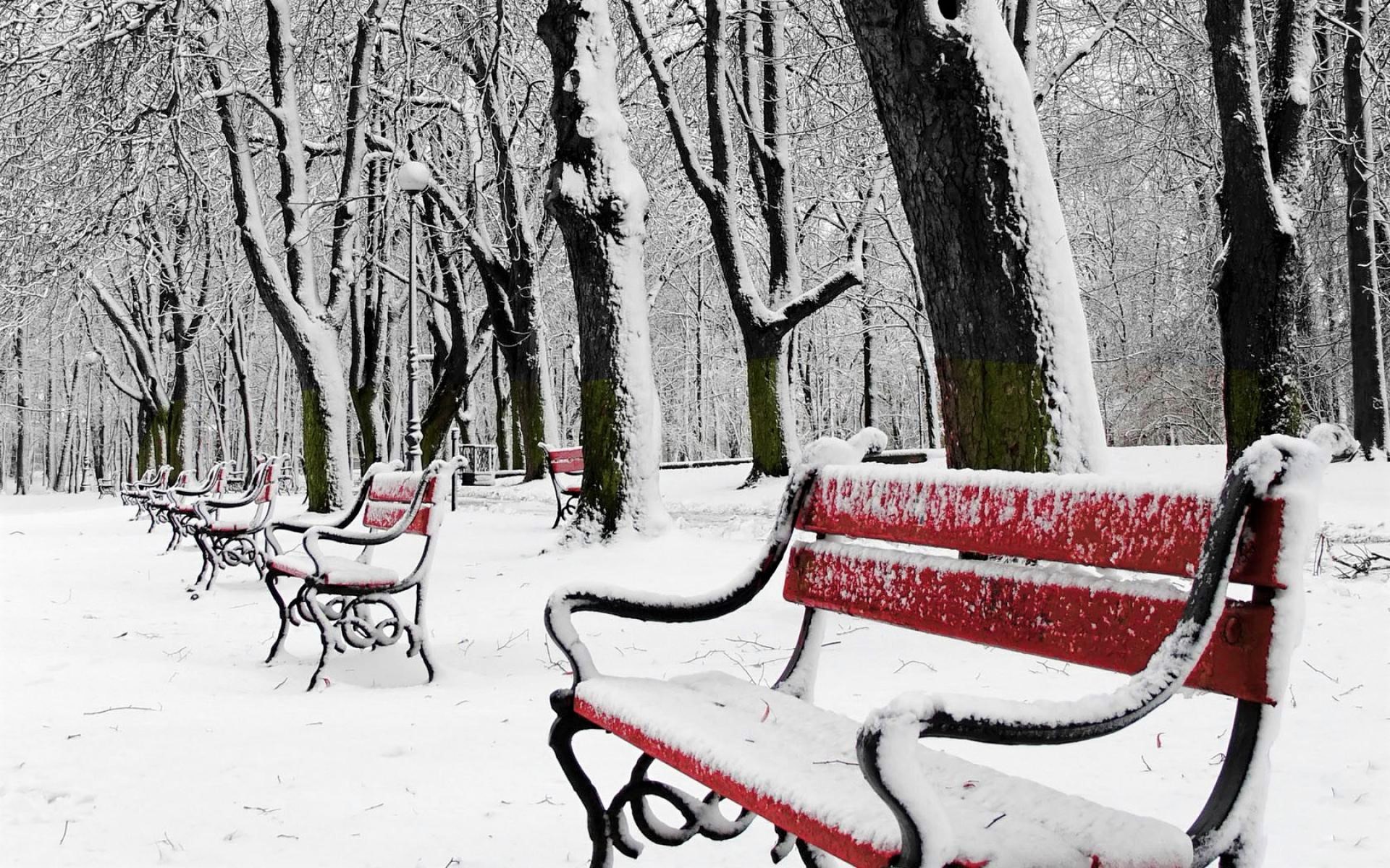 Скачать обои бесплатно Зима, Снег, Красный, Парк, Дерево, Скамья, Сделано Человеком картинка на рабочий стол ПК