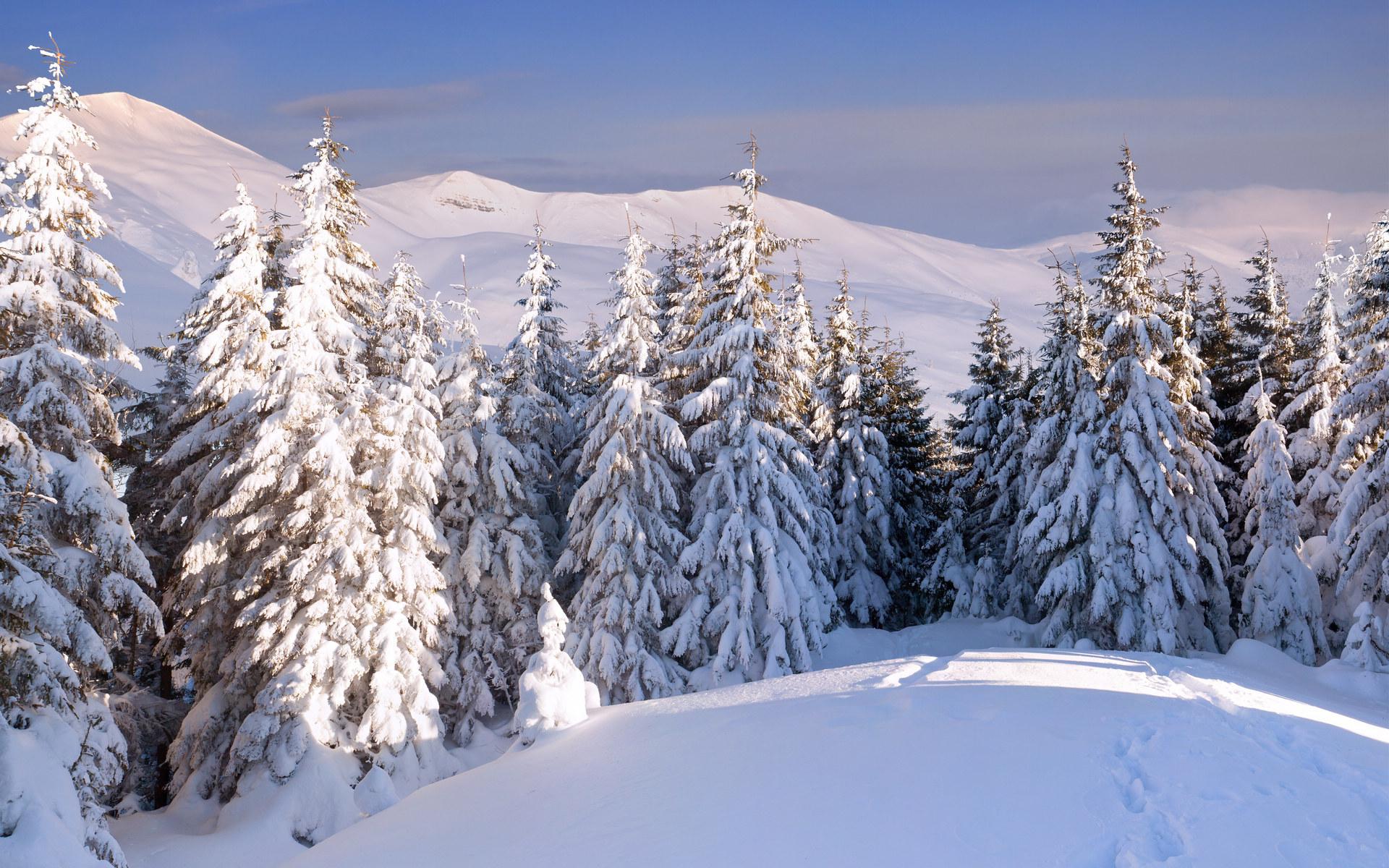 Téléchargez gratuitement l'image Hiver, Terre/nature sur le bureau de votre PC