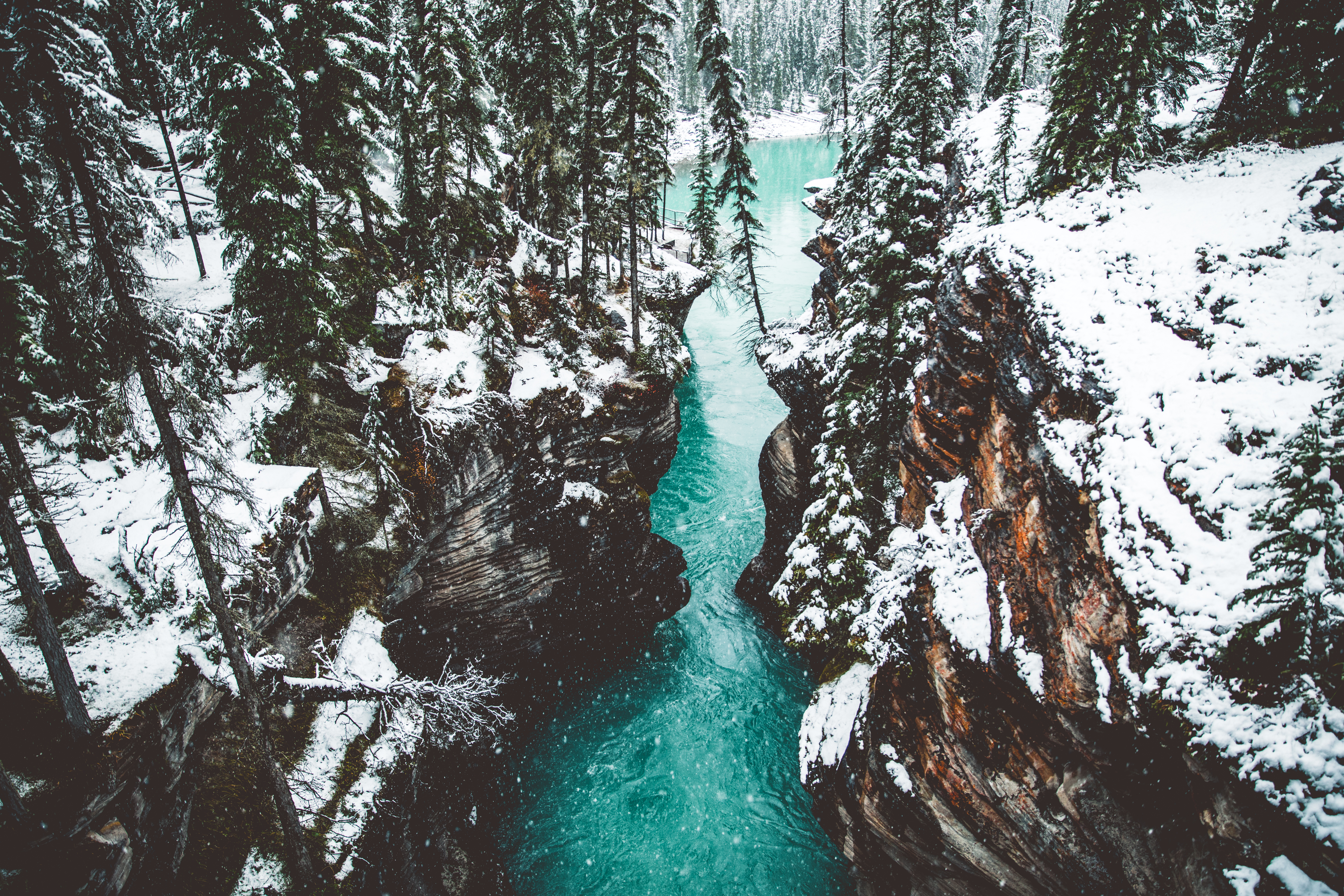 canada, canyon, nature, waterfall, break, precipice, athabasca Free Stock Photo