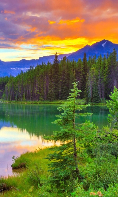 無料モバイル壁紙自然, 木, 日没, 湖, 山, 反射, カナダ, 森, 地球, バンフ国立公園をダウンロードします。