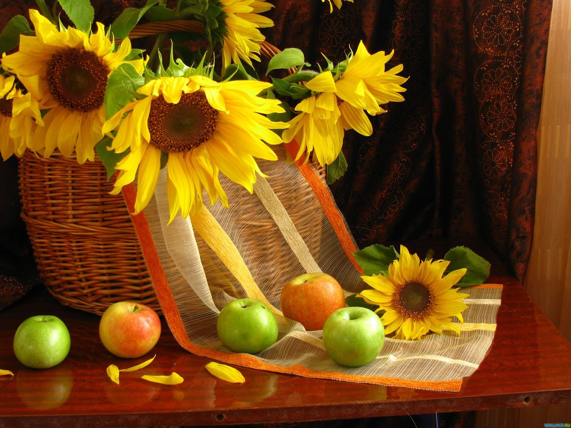 104848 скачать обои яблоки, натюрморт, стол, корзина, подсолнухи, цветы, листья, шторы - заставки и картинки бесплатно