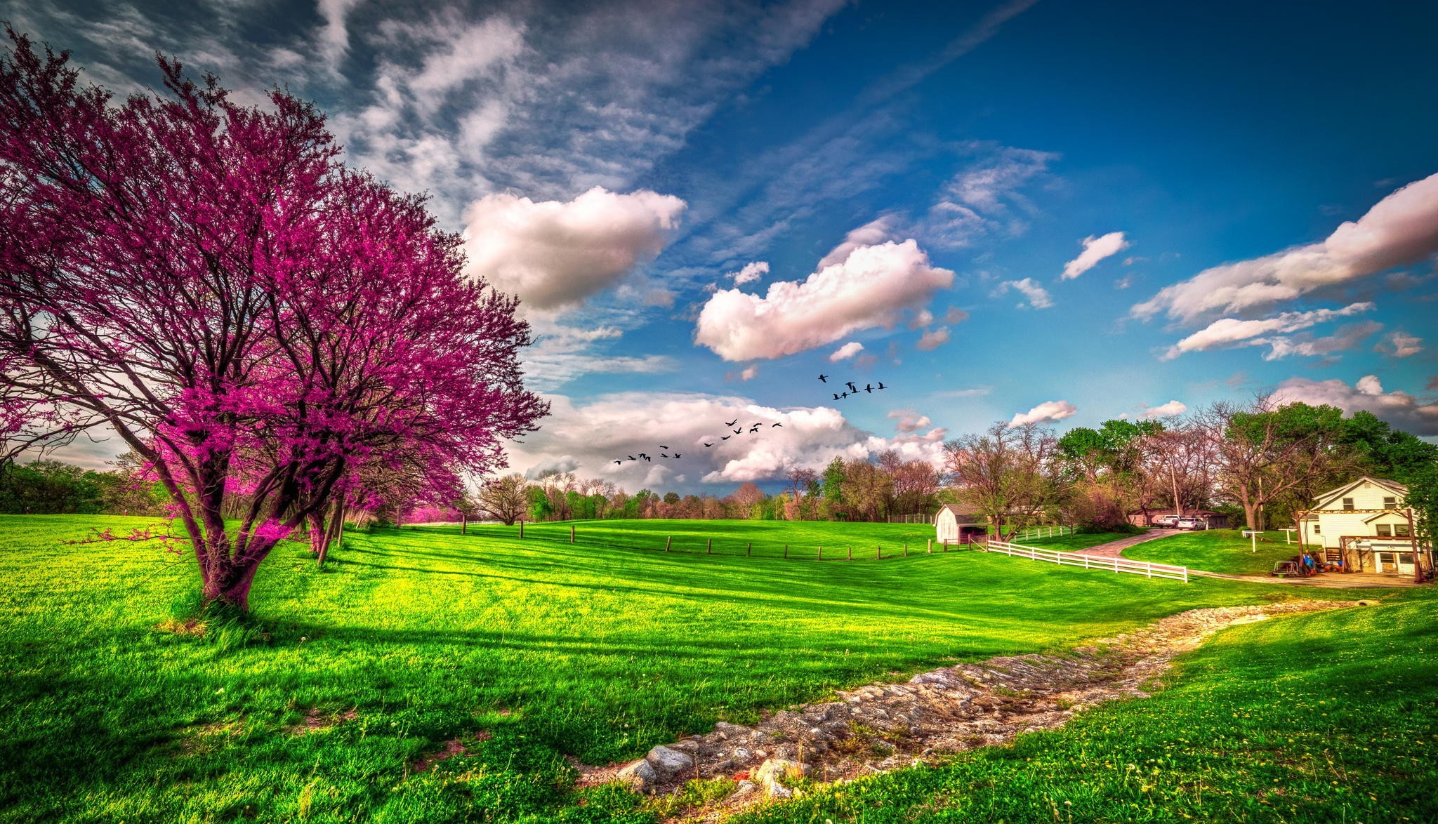 656877 скачать обои весна, цветущие, небо, дом, земля/природа, облака, дерево - заставки и картинки бесплатно