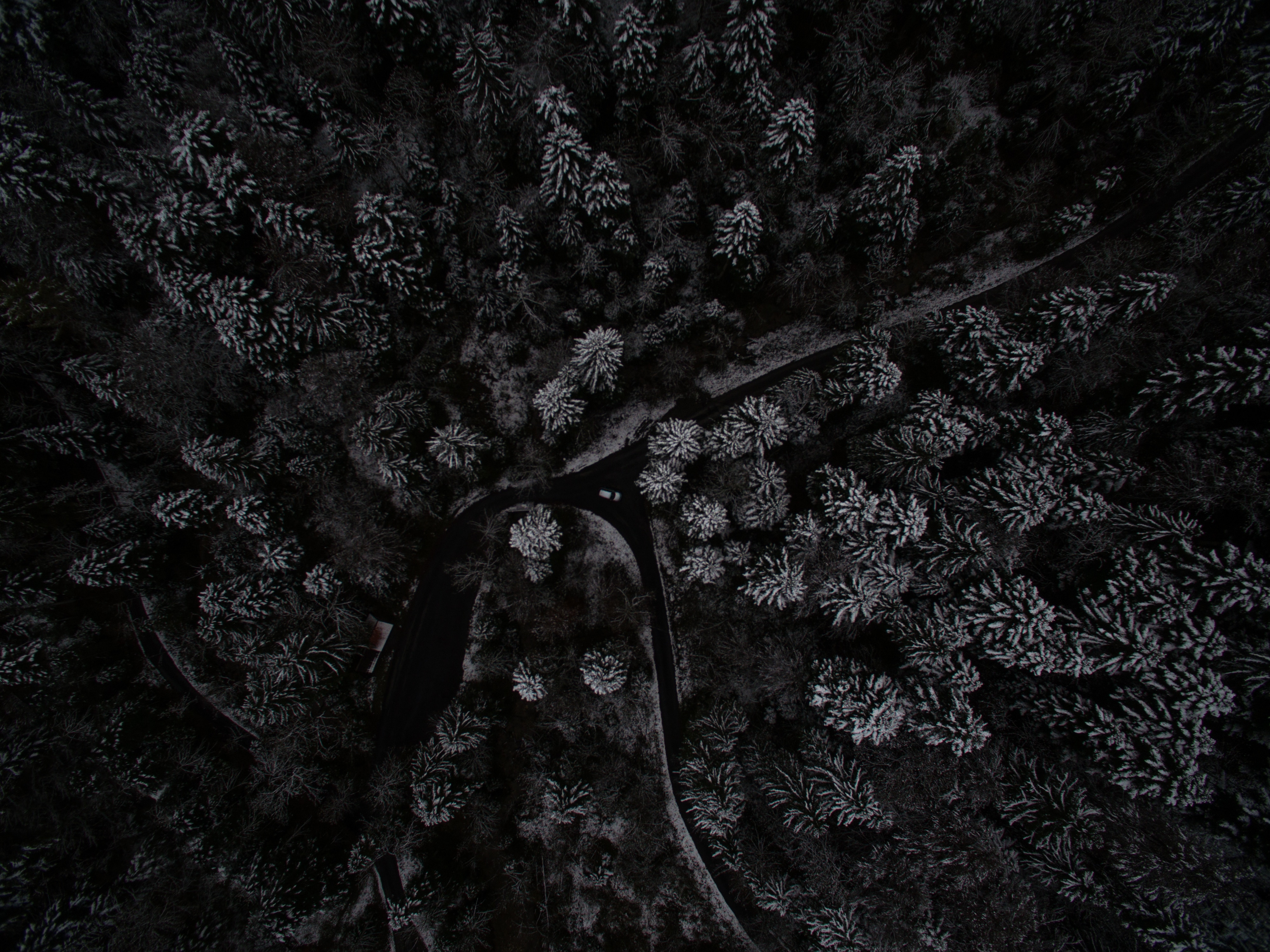PCデスクトップに自然, 木, 上から見る, 森林, 雪に覆われた, 積雪, 森, スイス画像を無料でダウンロード