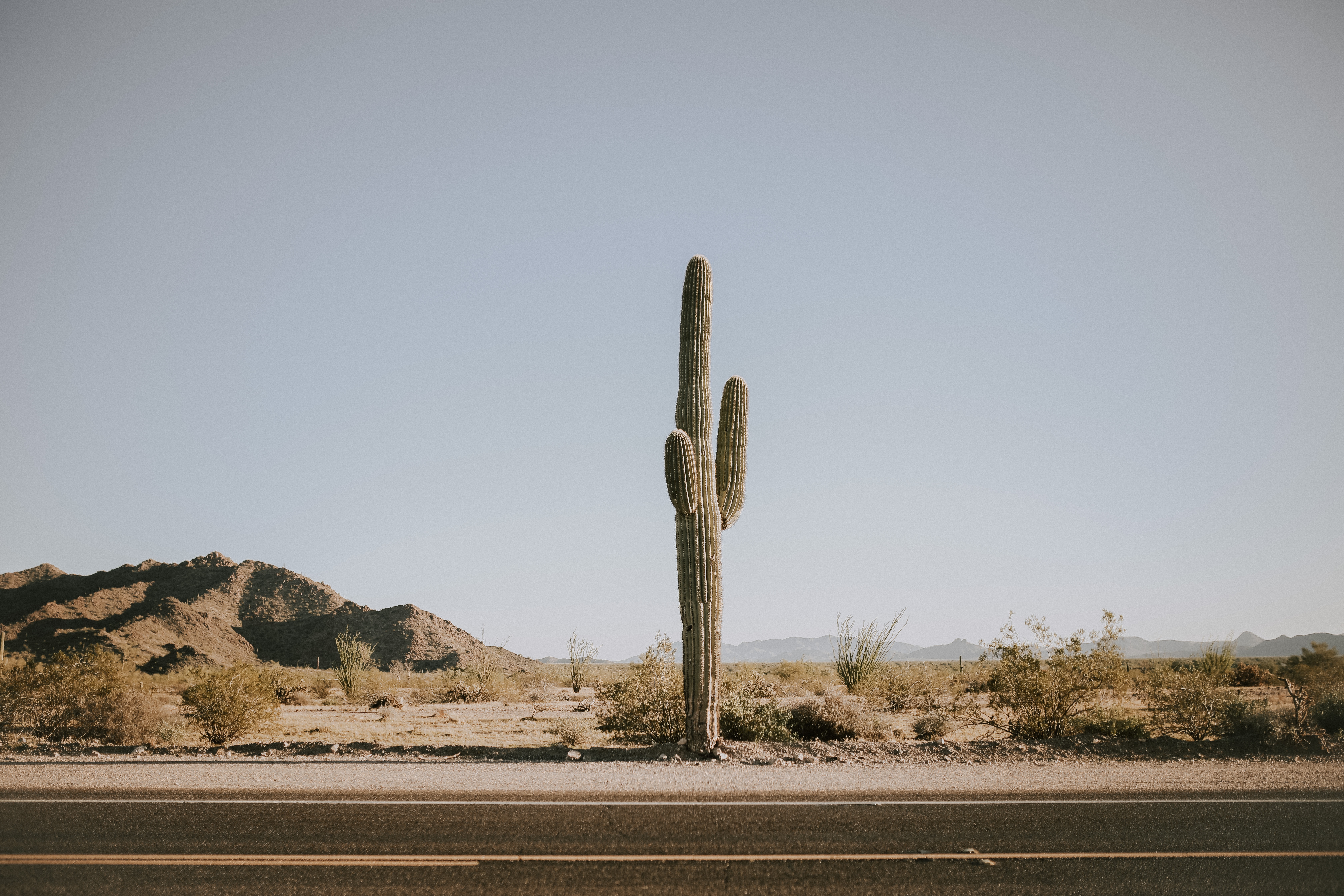 Download mobile wallpaper Road, Mountains, Nature, Cactus, Desert for free.