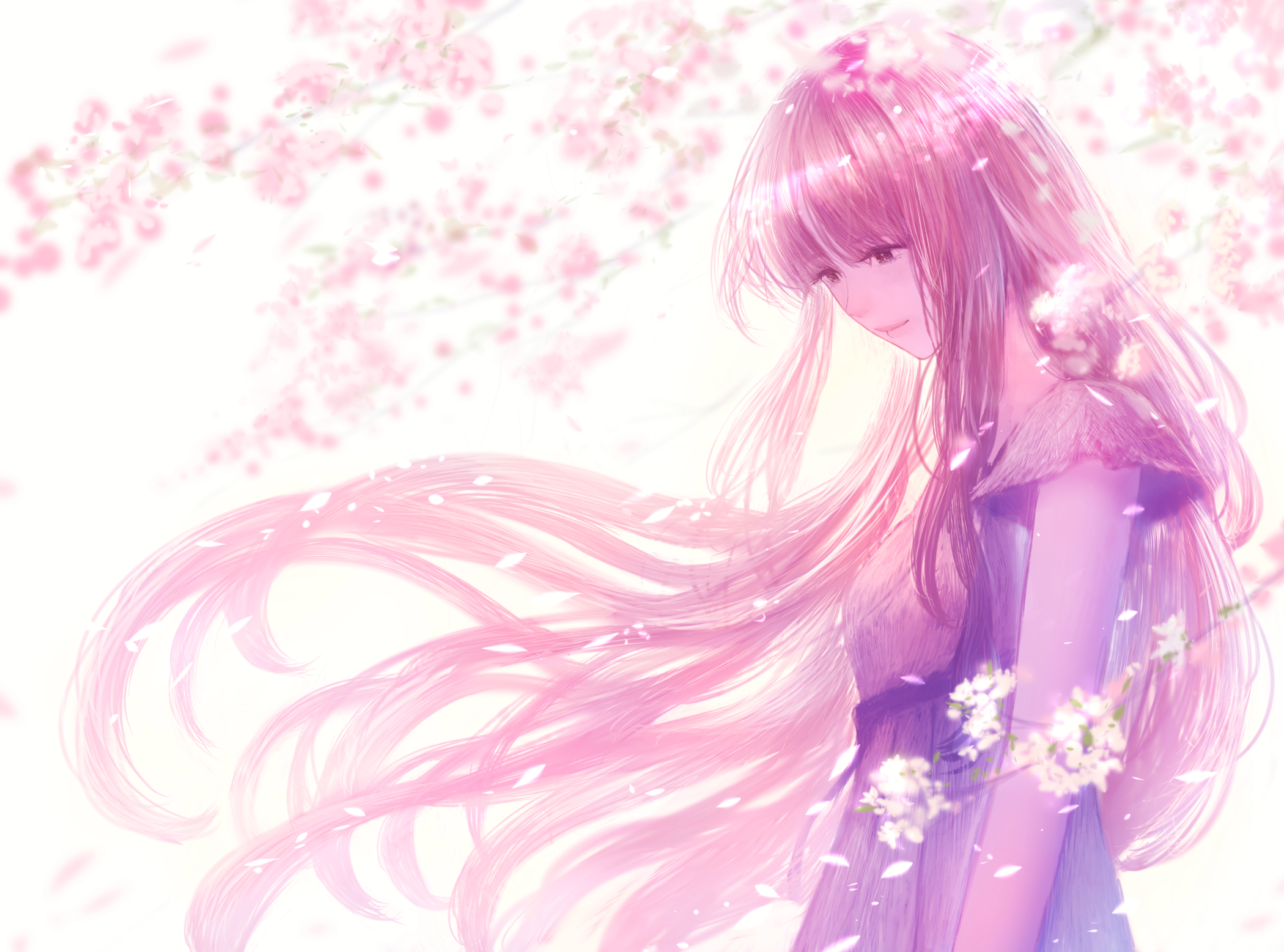 Laden Sie das Mädchen, Sakura, Animes, Lange Haare-Bild kostenlos auf Ihren PC-Desktop herunter
