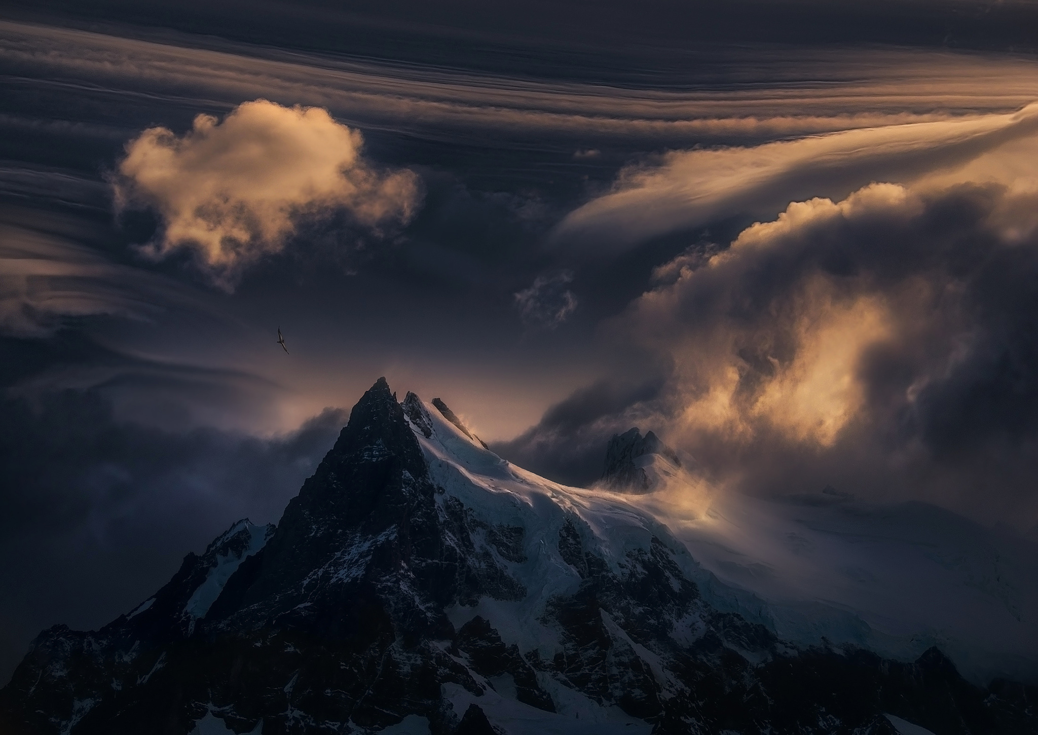 358684 descargar fondo de pantalla tierra/naturaleza, montaña, ave, nube, naturaleza, patagonia, nieve, montañas: protectores de pantalla e imágenes gratis