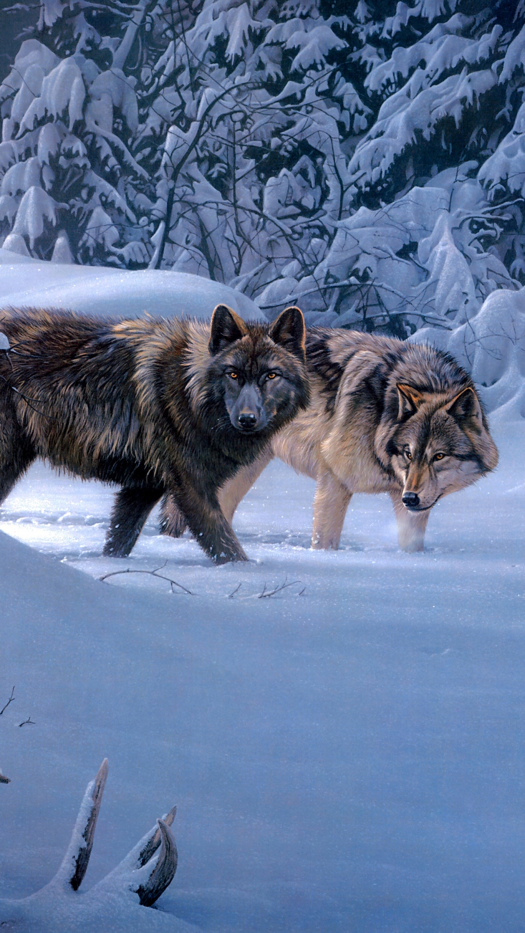 Скачать картинку Животные, Волки, Зима, Волк в телефон бесплатно.