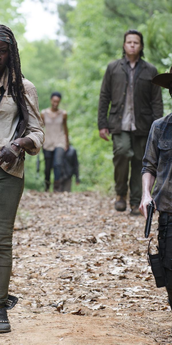 Desktop wallpaper The Walking Dead, Tv Show, Carl Grimes, Chandler