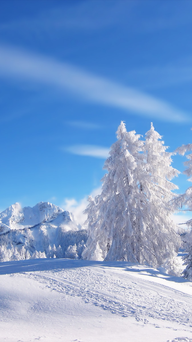 無料モバイル壁紙風景, 冬, 雪, 地球をダウンロードします。