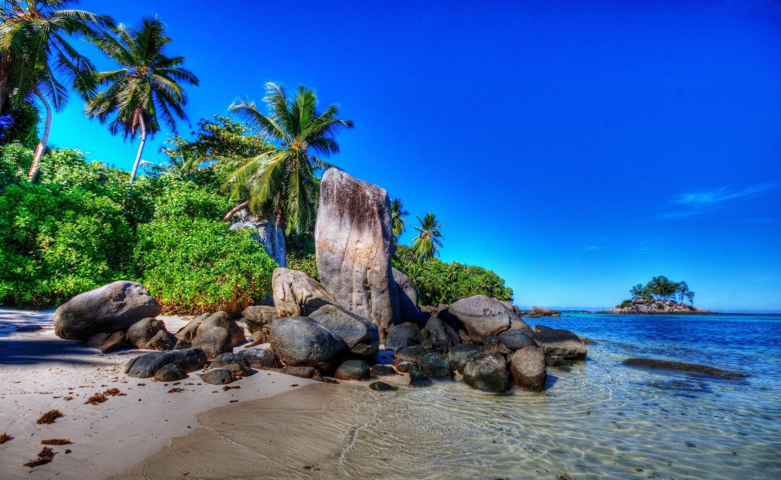 Download mobile wallpaper Sky, Earth, Tropics, Palm Tree, Seashore for free.
