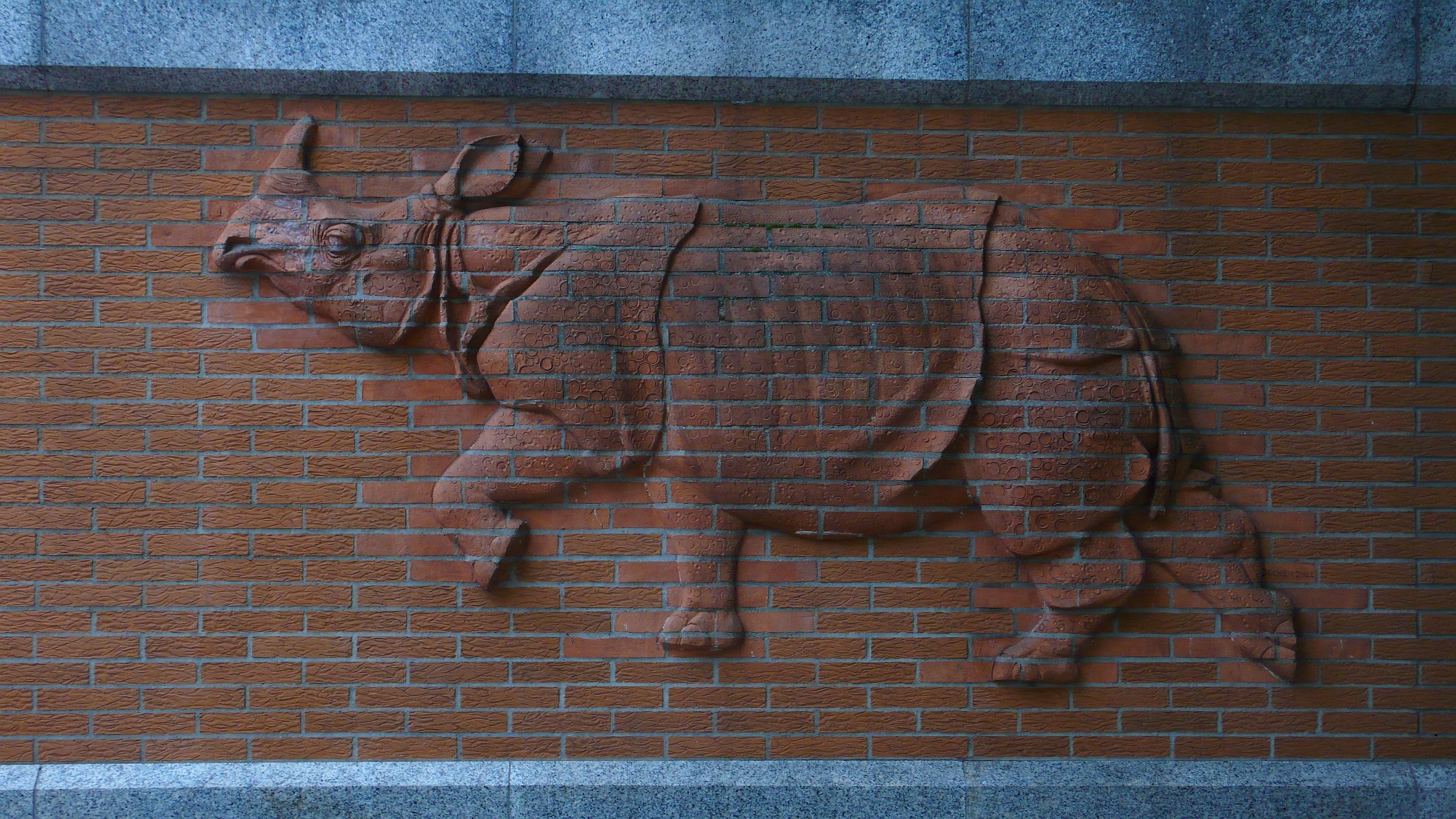 animal, rhino HD wallpaper