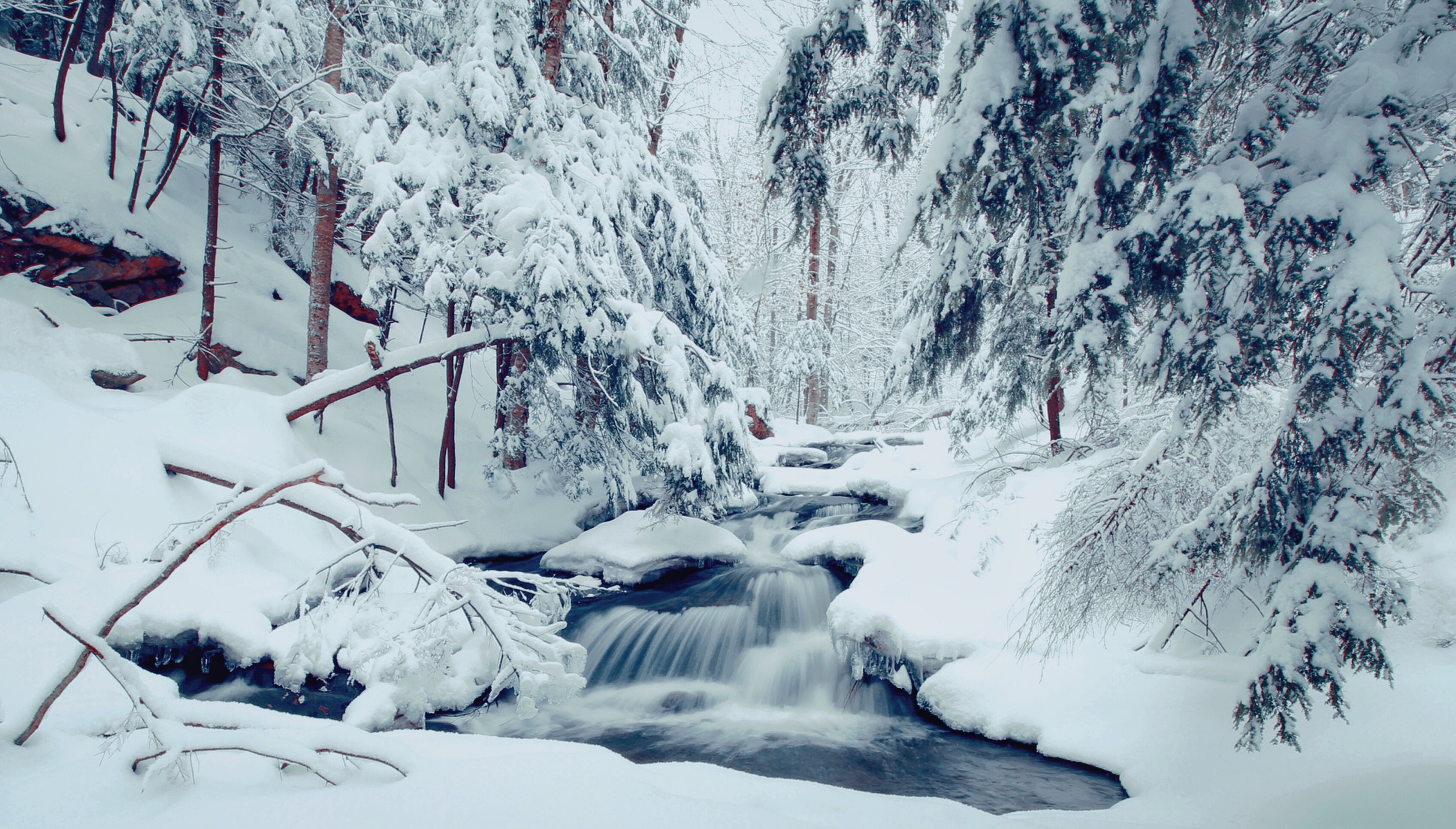 Download mobile wallpaper Winter, Nature, Snow, Forest, Earth, Stream for free.