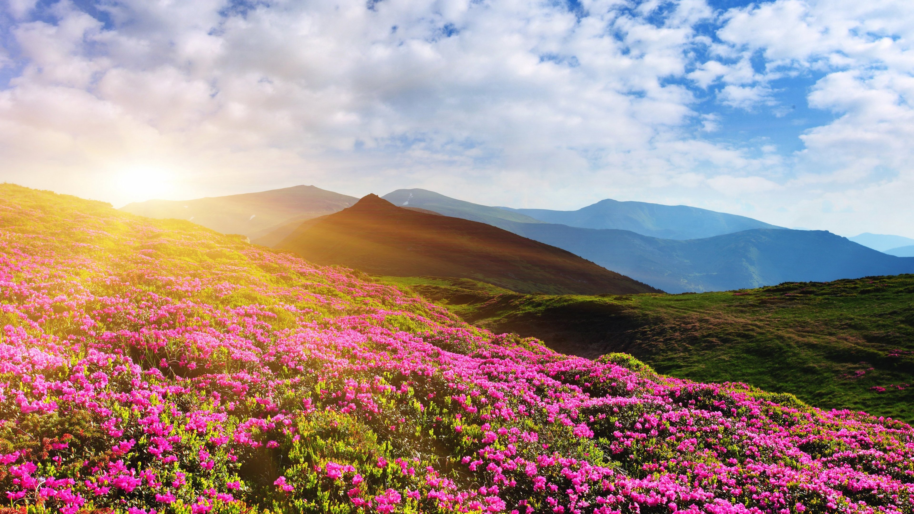 Handy-Wallpaper Erde/natur, Landschaft kostenlos herunterladen.