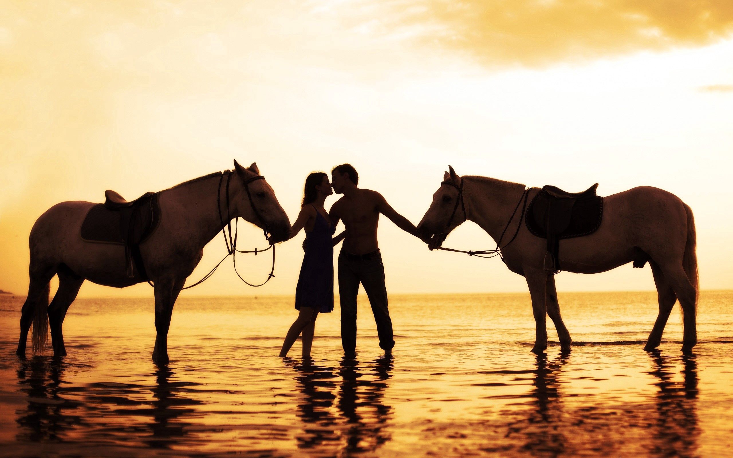 Free download wallpaper Sunset, Pair, Tenderness, Sea, Couple, Love, Romance, Horses on your PC desktop