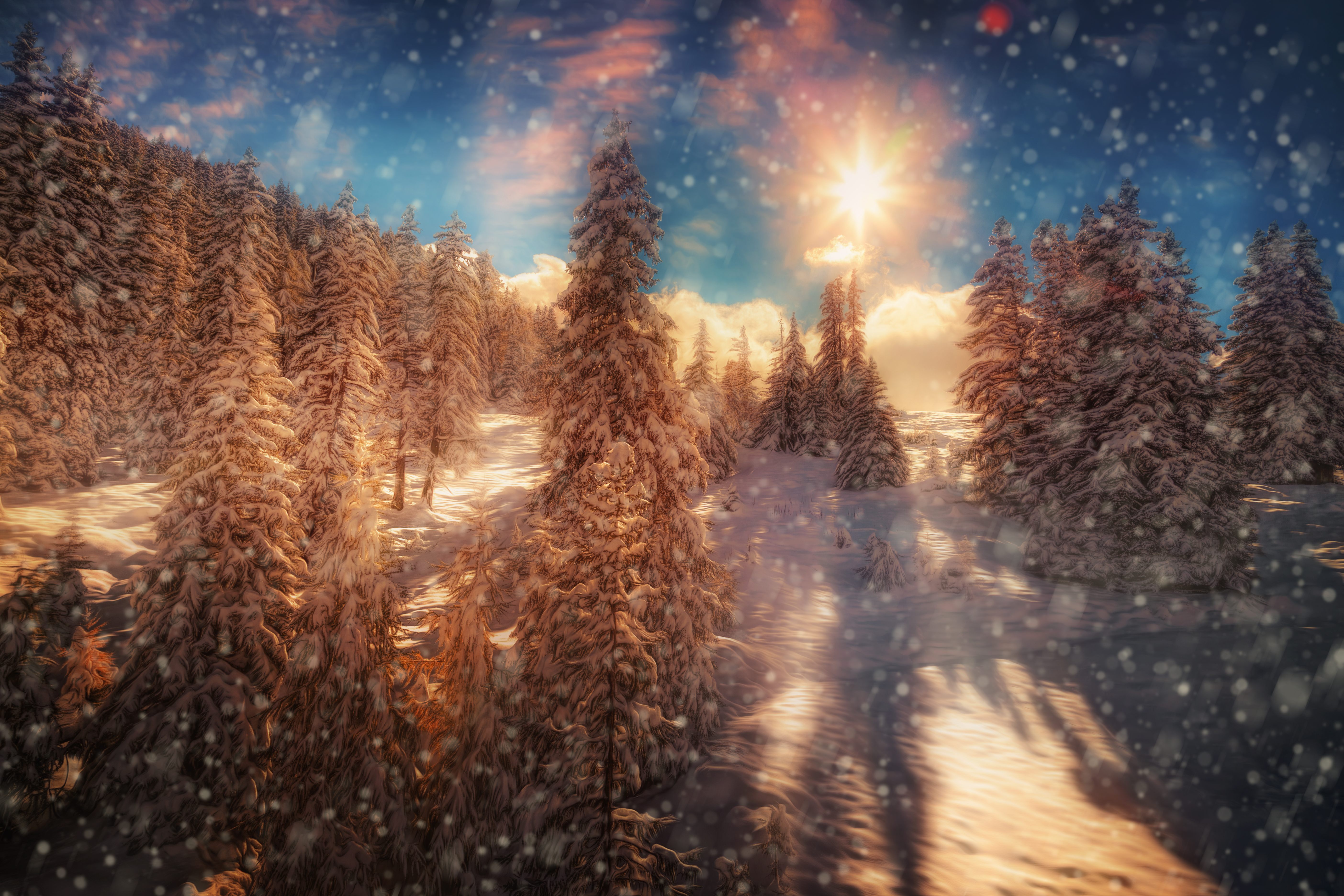 Download mobile wallpaper Winter, Snow, Tree, Hdr, Photography, Snowfall for free.