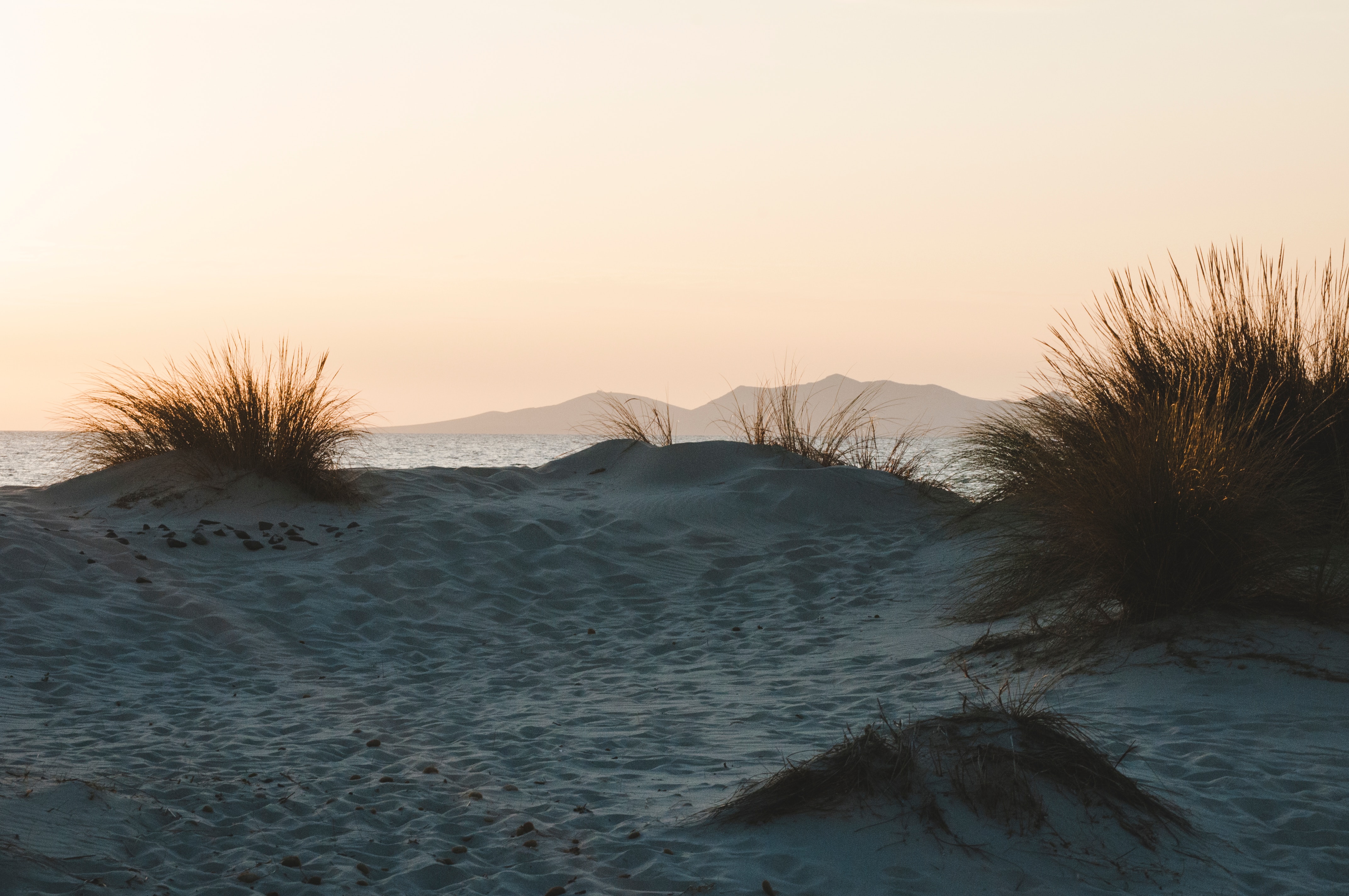 Download mobile wallpaper Bush, Horizon, Nature, Sunset, Sand for free.