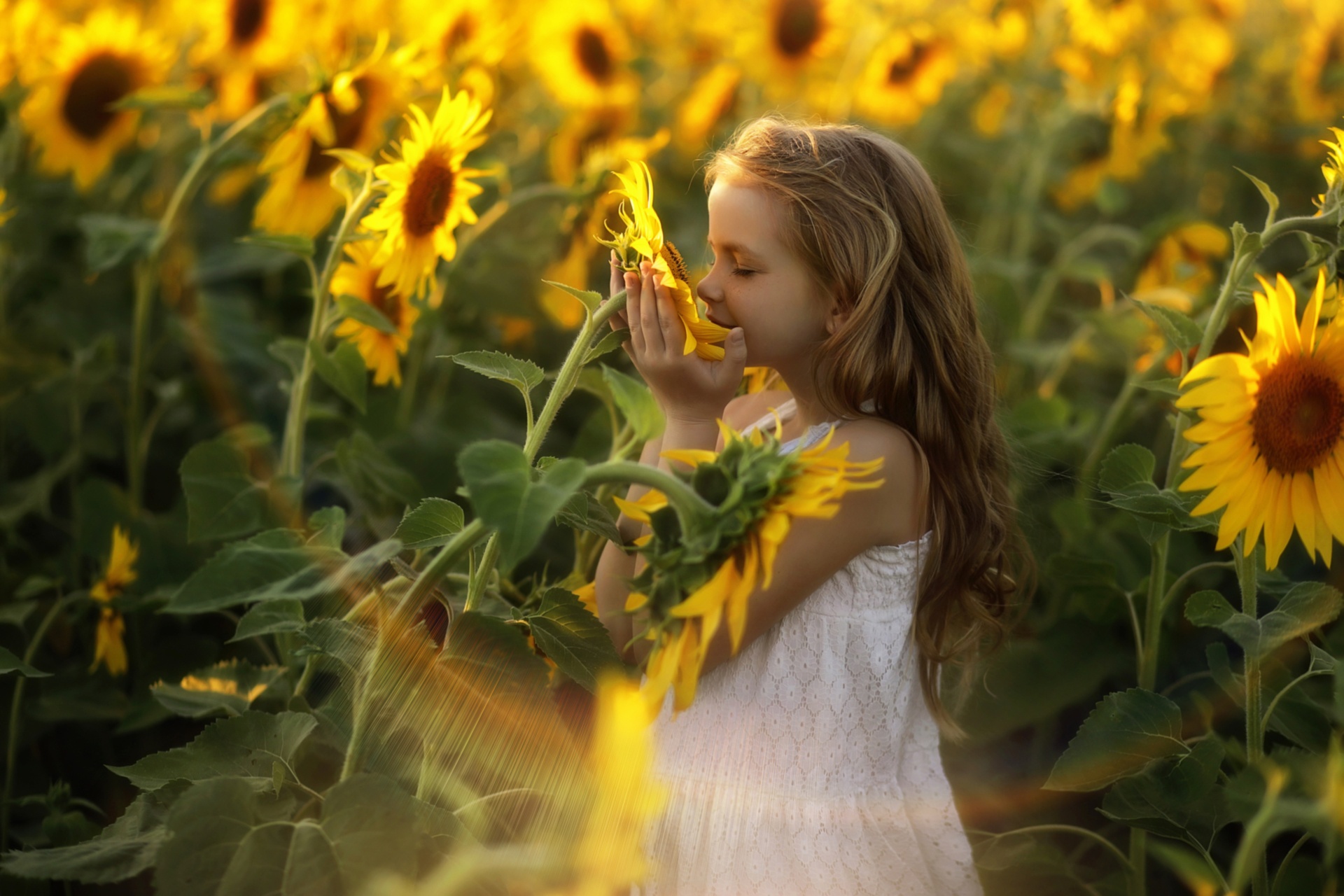Download mobile wallpaper Summer, Mood, Child, Blonde, Sunflower, Photography, Yellow Flower, Little Girl for free.