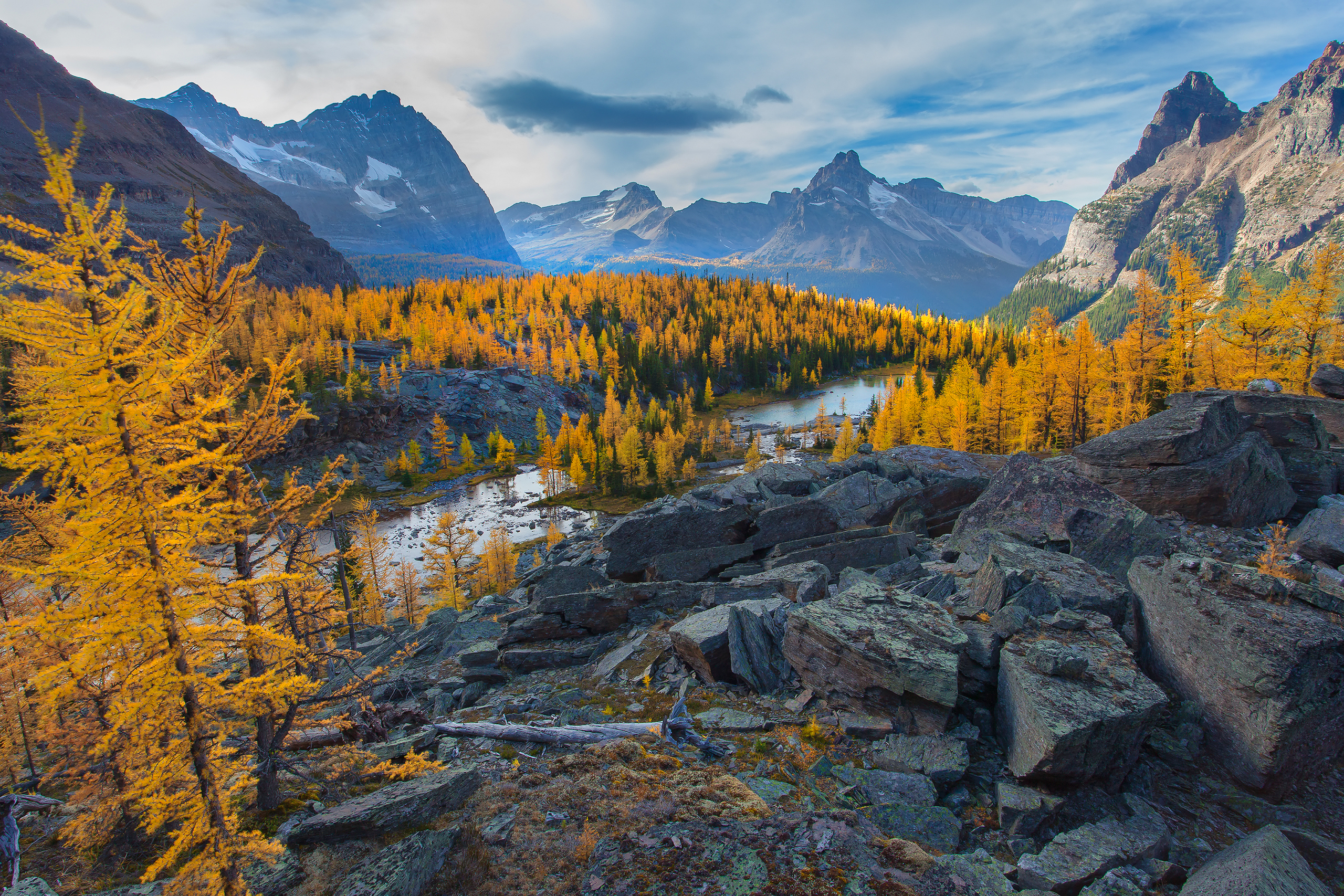 Téléchargez gratuitement l'image Automne, Terre/nature sur le bureau de votre PC