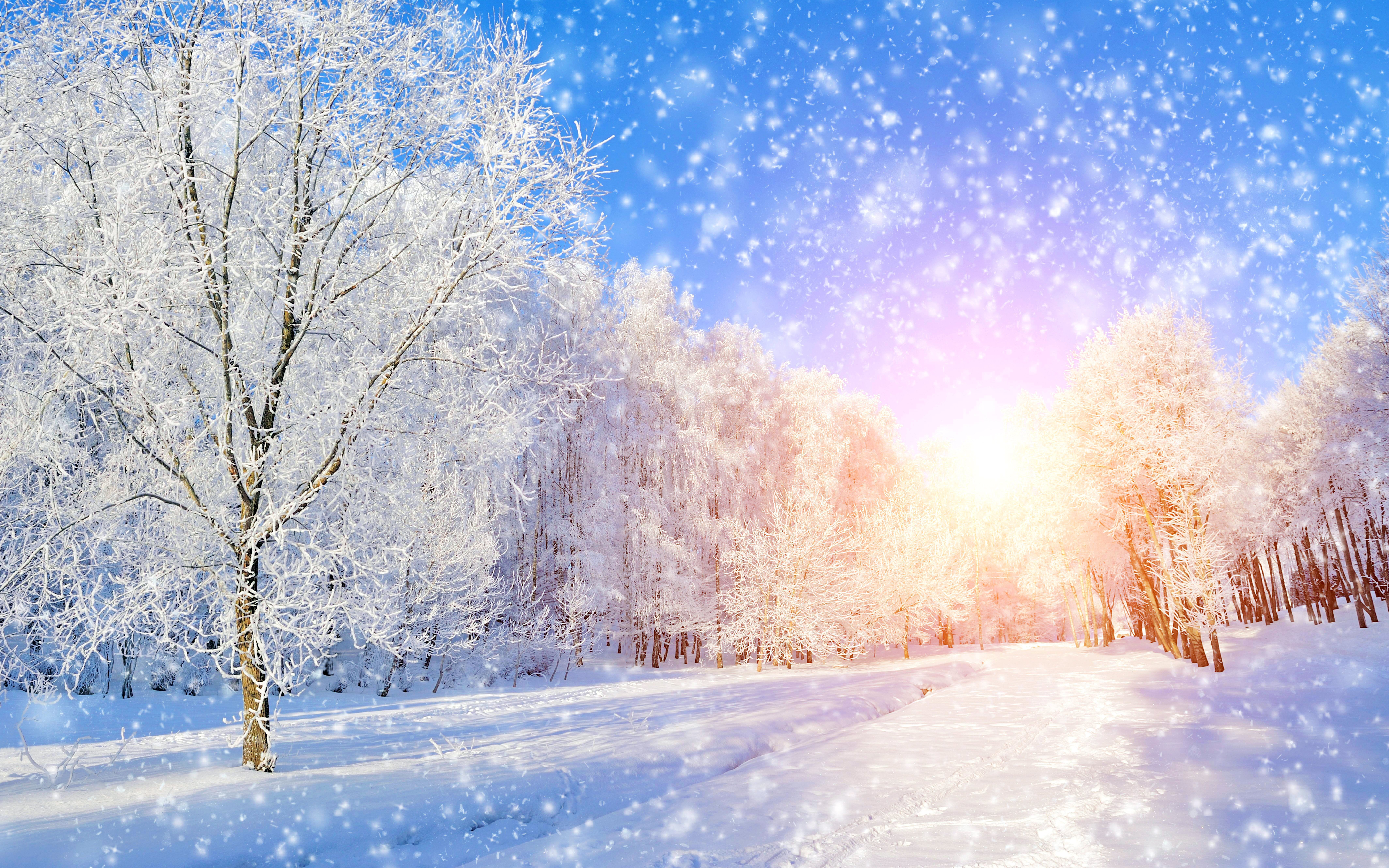Завантажити шпалери безкоштовно Зима, Природа, Сніг, Земля картинка на робочий стіл ПК