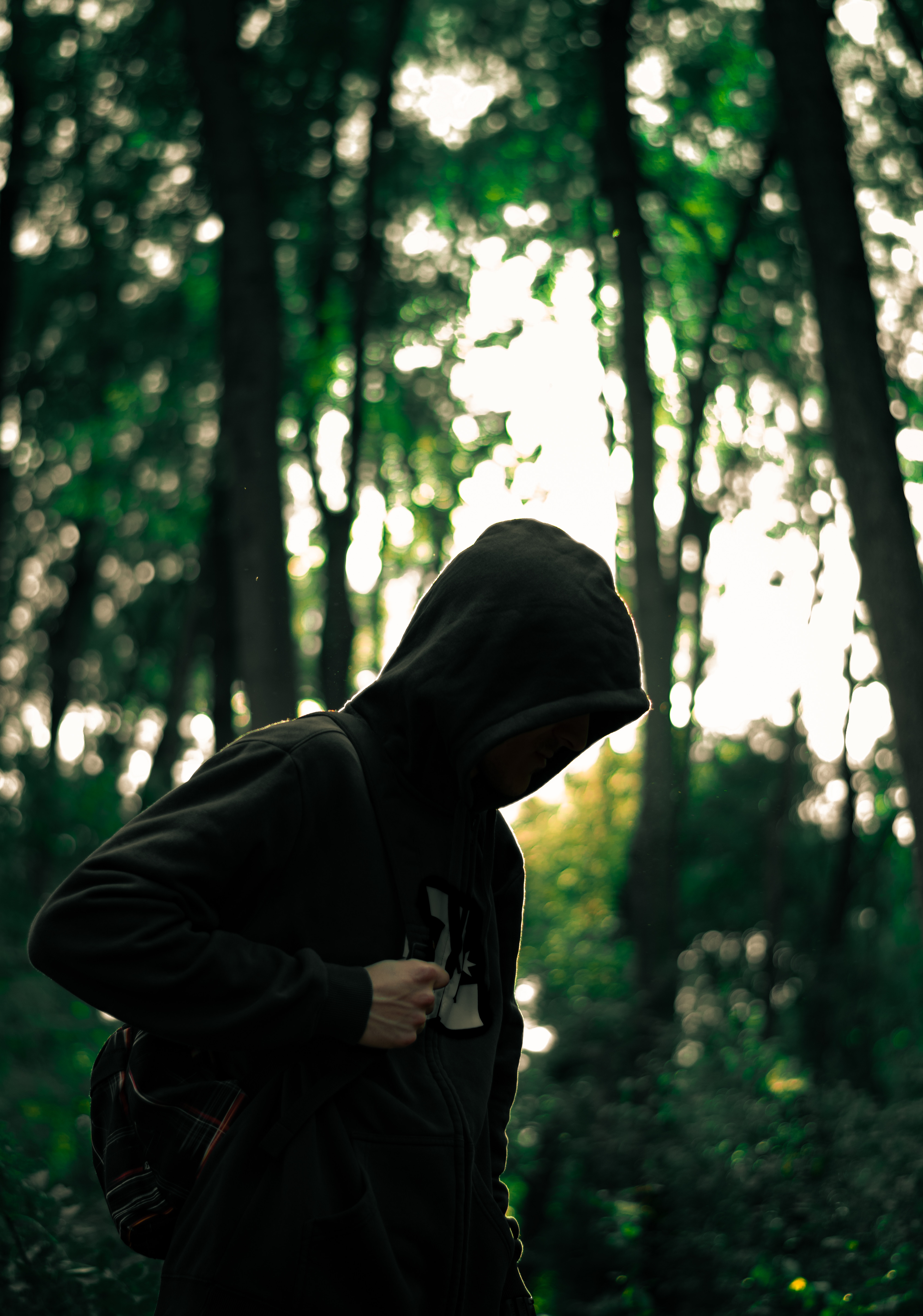 Free download wallpaper Miscellanea, Forest, Human, Miscellaneous, Person, Hood, Anonymous on your PC desktop