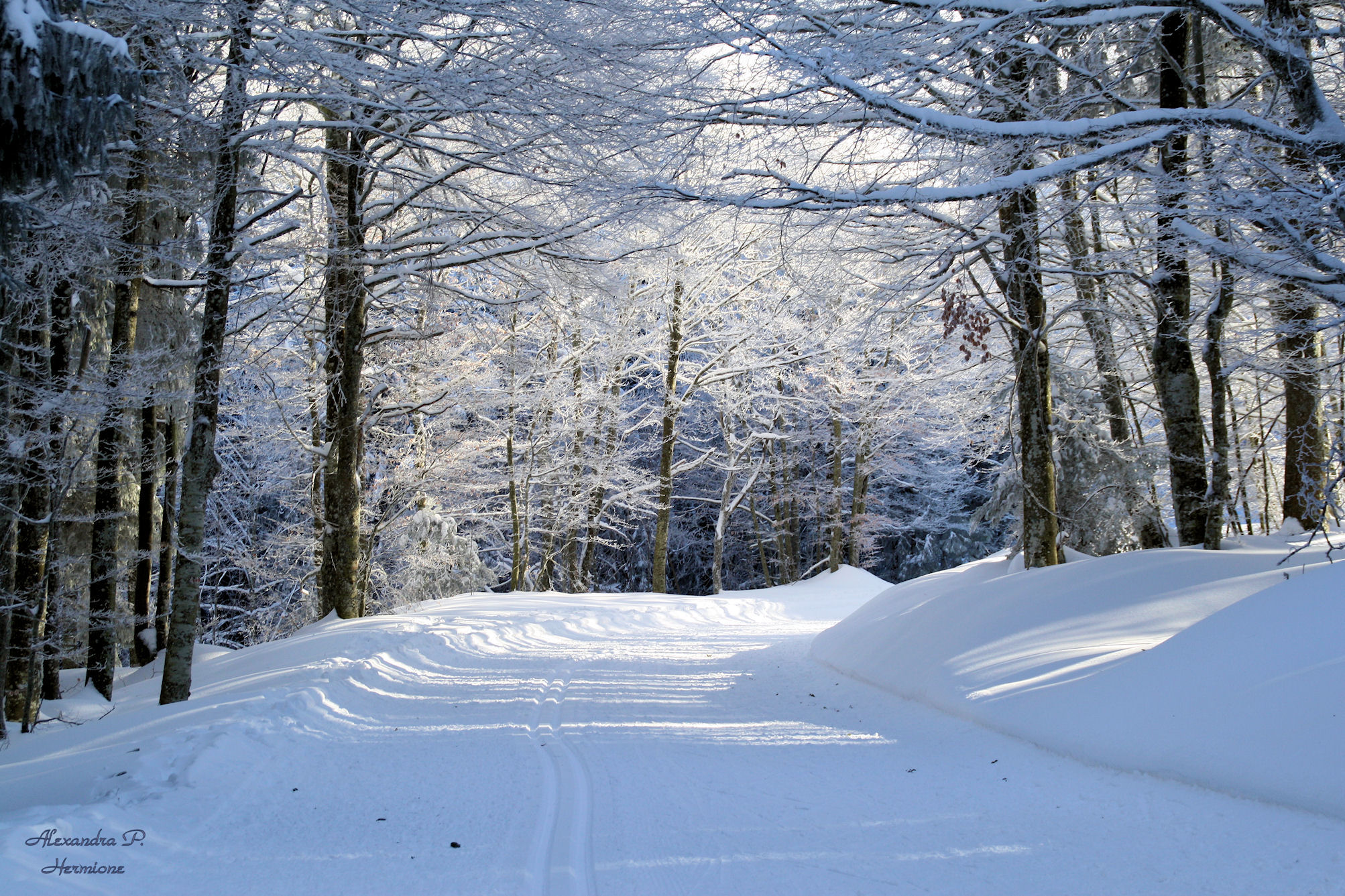 Laden Sie das Winter, Erde/natur-Bild kostenlos auf Ihren PC-Desktop herunter