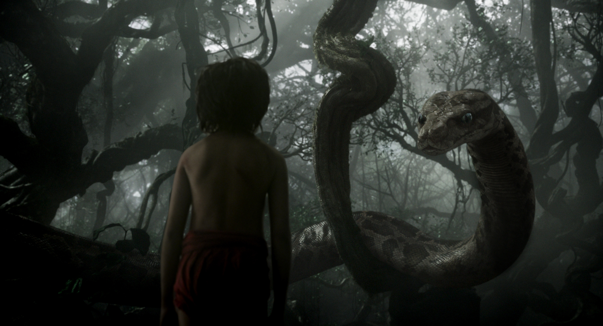 Free download wallpaper Movie, The Jungle Book, The Jungle Book (2016) on your PC desktop
