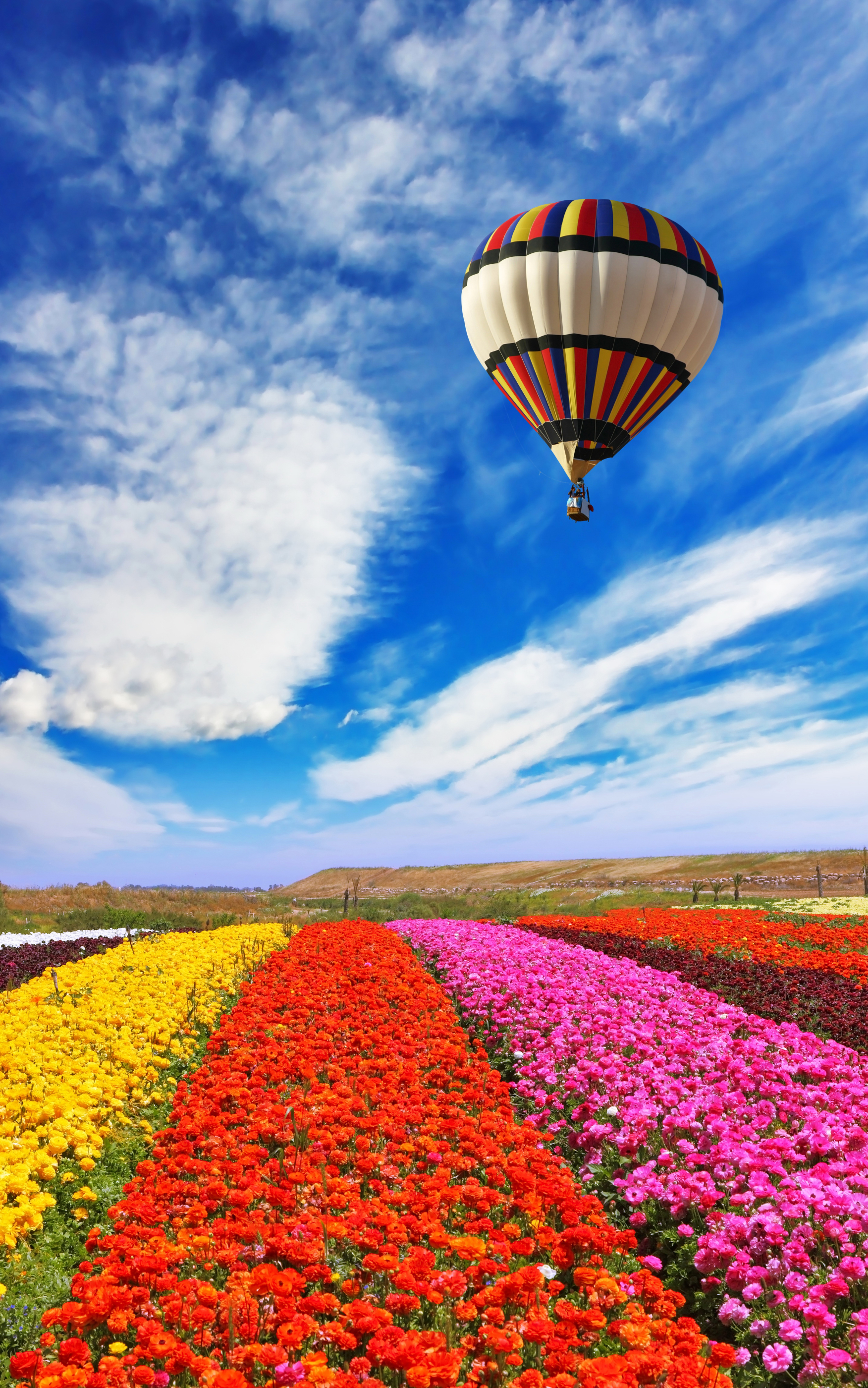 Download mobile wallpaper Flower, Field, Yellow Flower, Red Flower, Vehicles, Pink Flower, Hot Air Balloon for free.