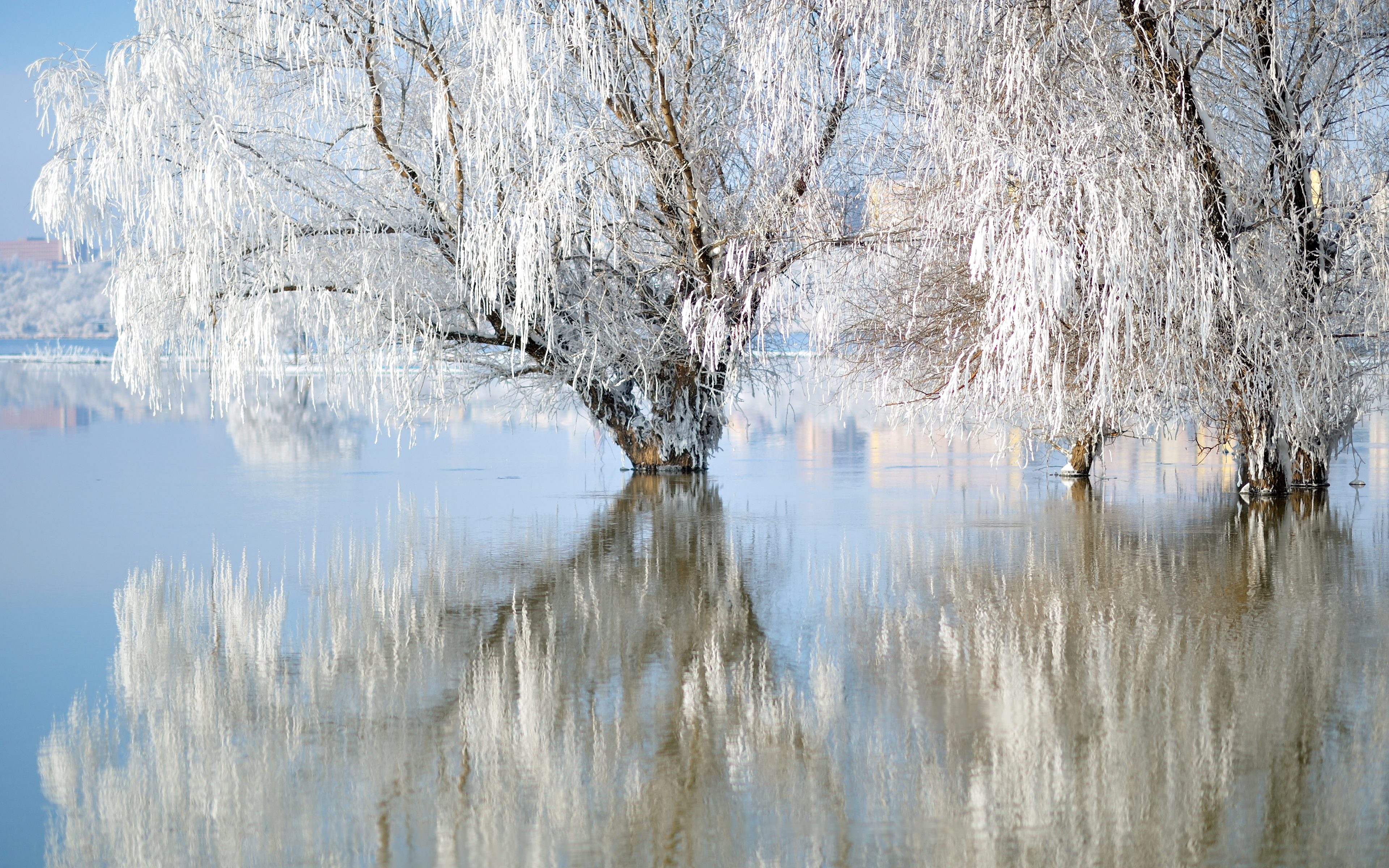 Download mobile wallpaper Winter, Nature, Lake, Reflection, Earth for free.