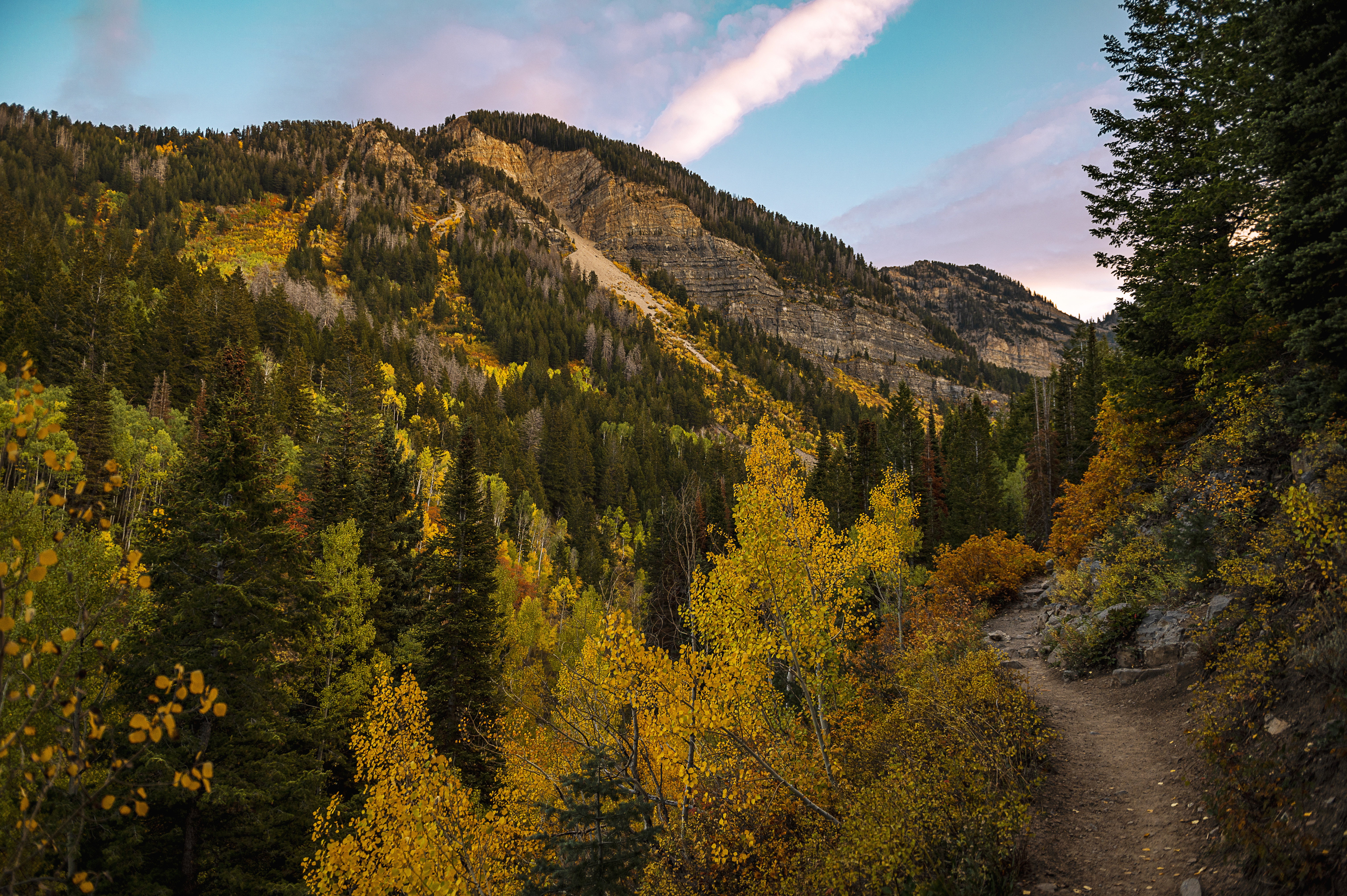 Laden Sie das Wald, Utah, Erde/natur, Timpooneke-Bild kostenlos auf Ihren PC-Desktop herunter