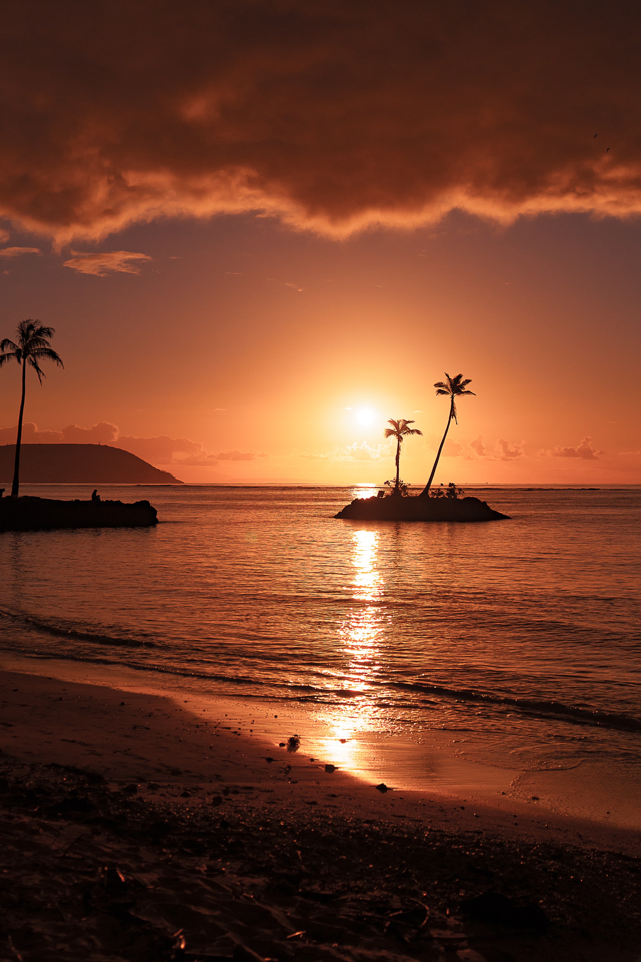 beach, sea, nature, sunset, palms, island HD wallpaper