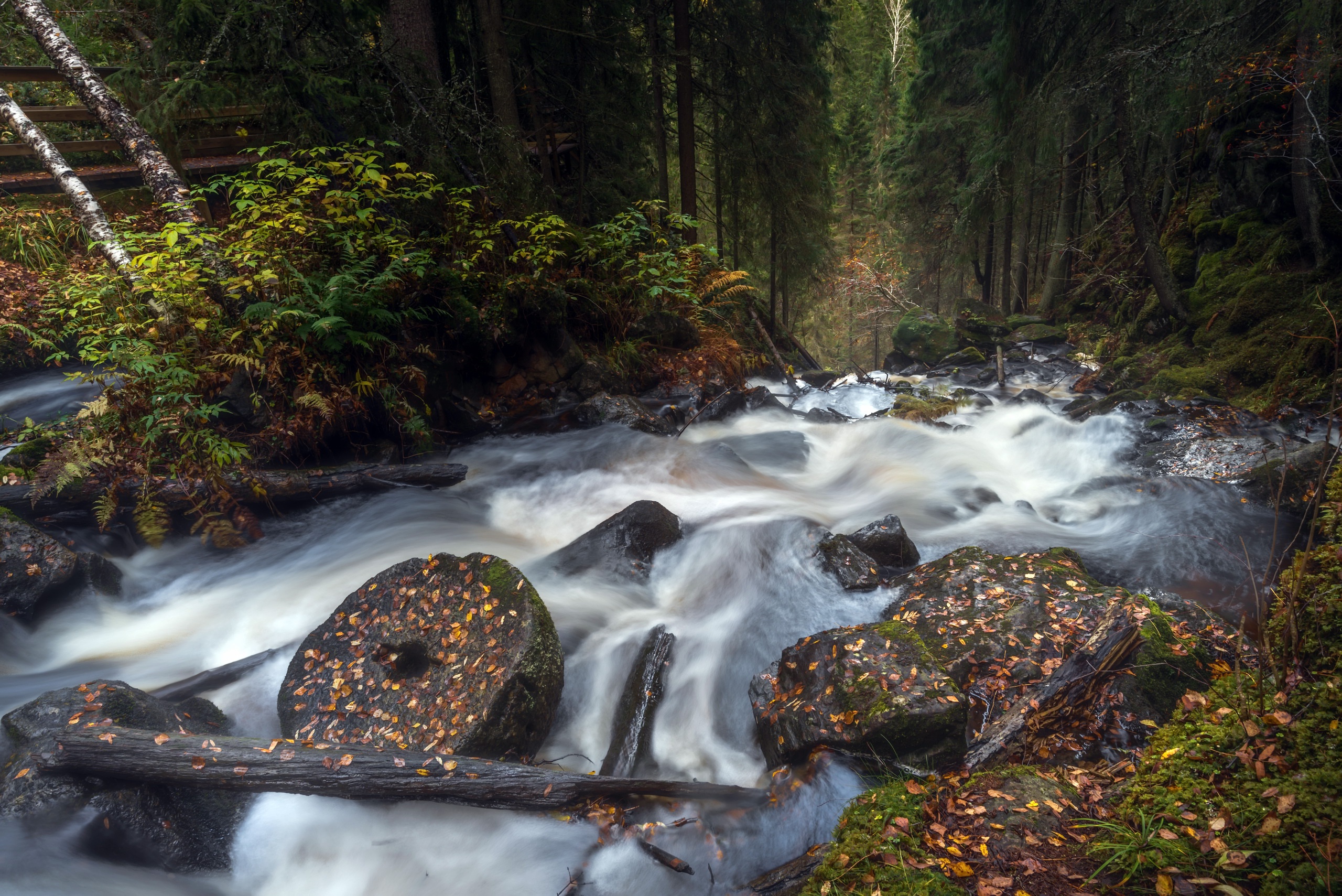 Descarga gratis la imagen Naturaleza, Bosque, Espuma, Chorro, Tierra/naturaleza en el escritorio de tu PC