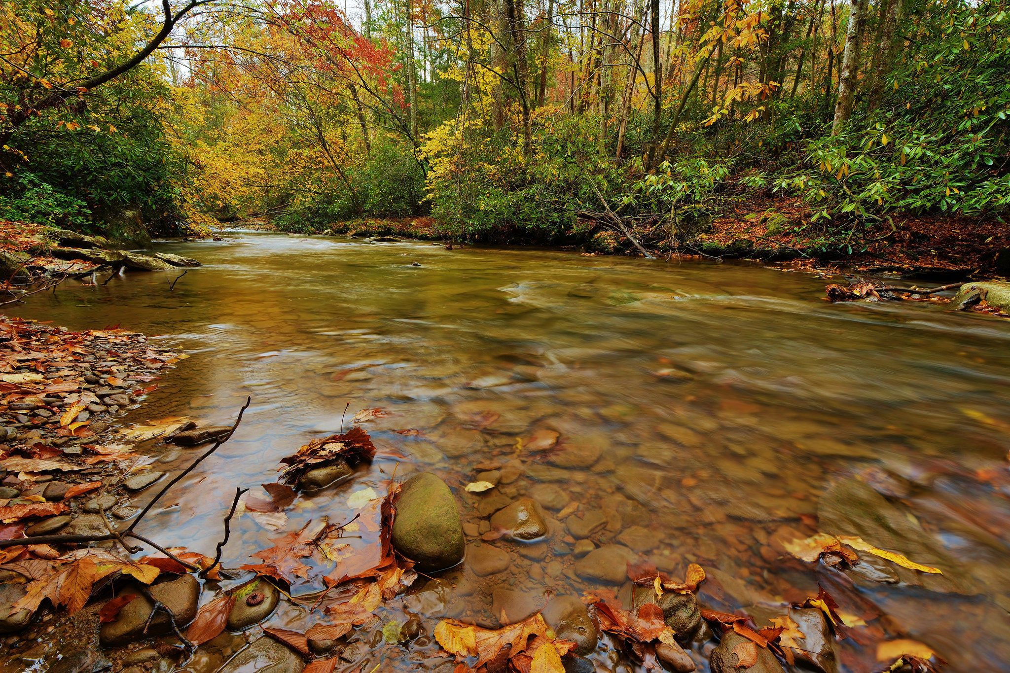 Скачать картинку Вода, Река, Осень, Лес, Зеленый, Листва, Камень, Земля/природа в телефон бесплатно.