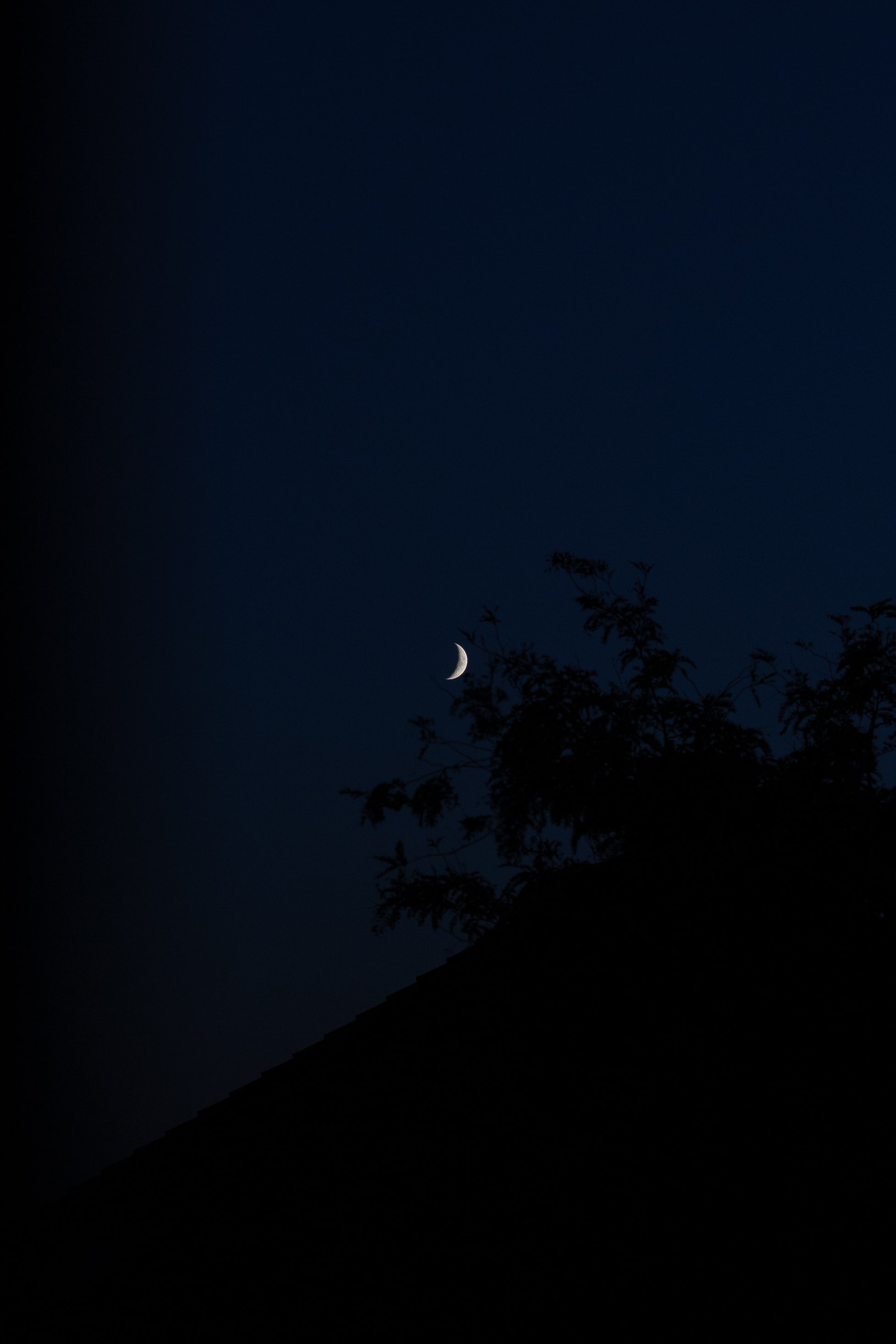 Free download wallpaper Night, Branches, Slope, Dark, Moon on your PC desktop