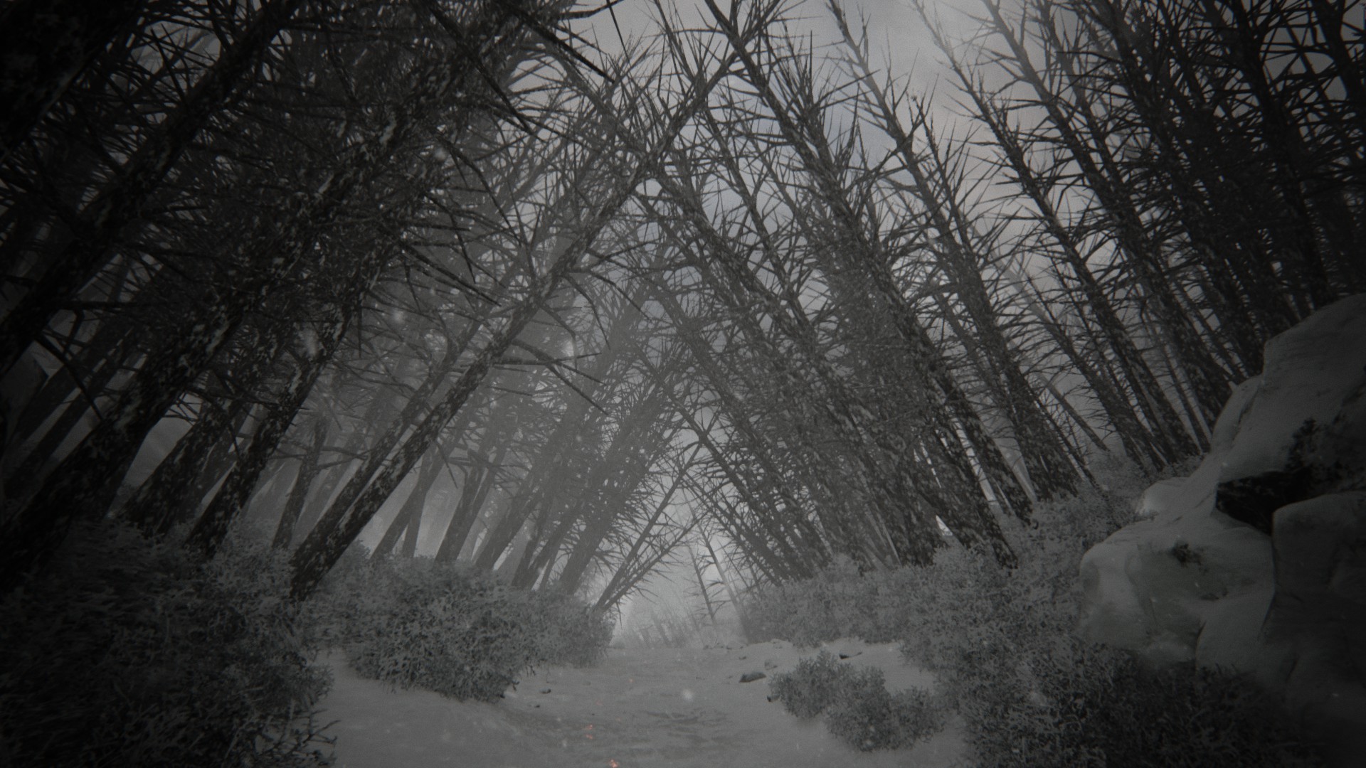 773262 Hintergrundbild herunterladen computerspiele, kholat, wald, schnee - Bildschirmschoner und Bilder kostenlos