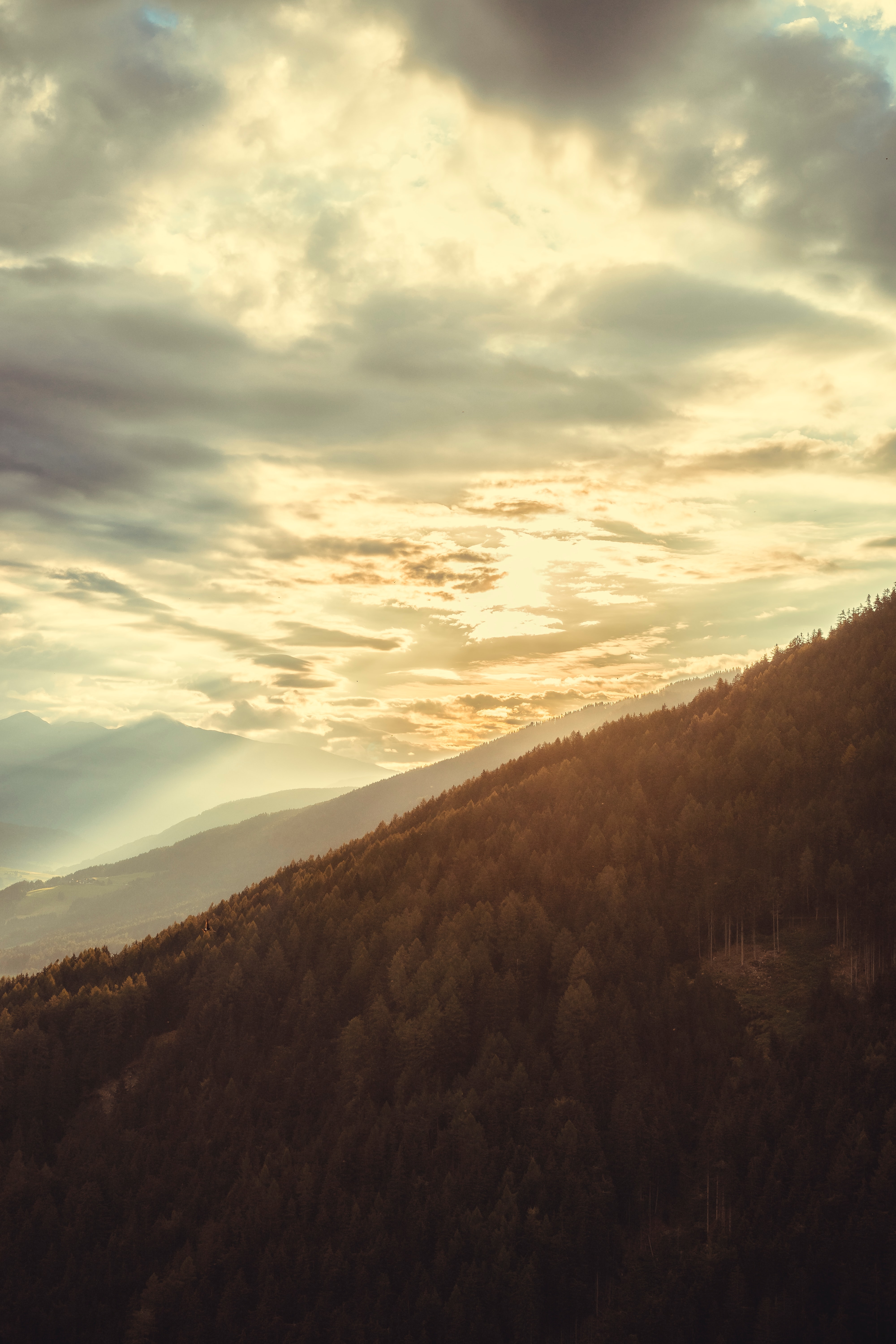 Laden Sie das Clouds, Wald, Steigung, Natur, Mountains-Bild kostenlos auf Ihren PC-Desktop herunter