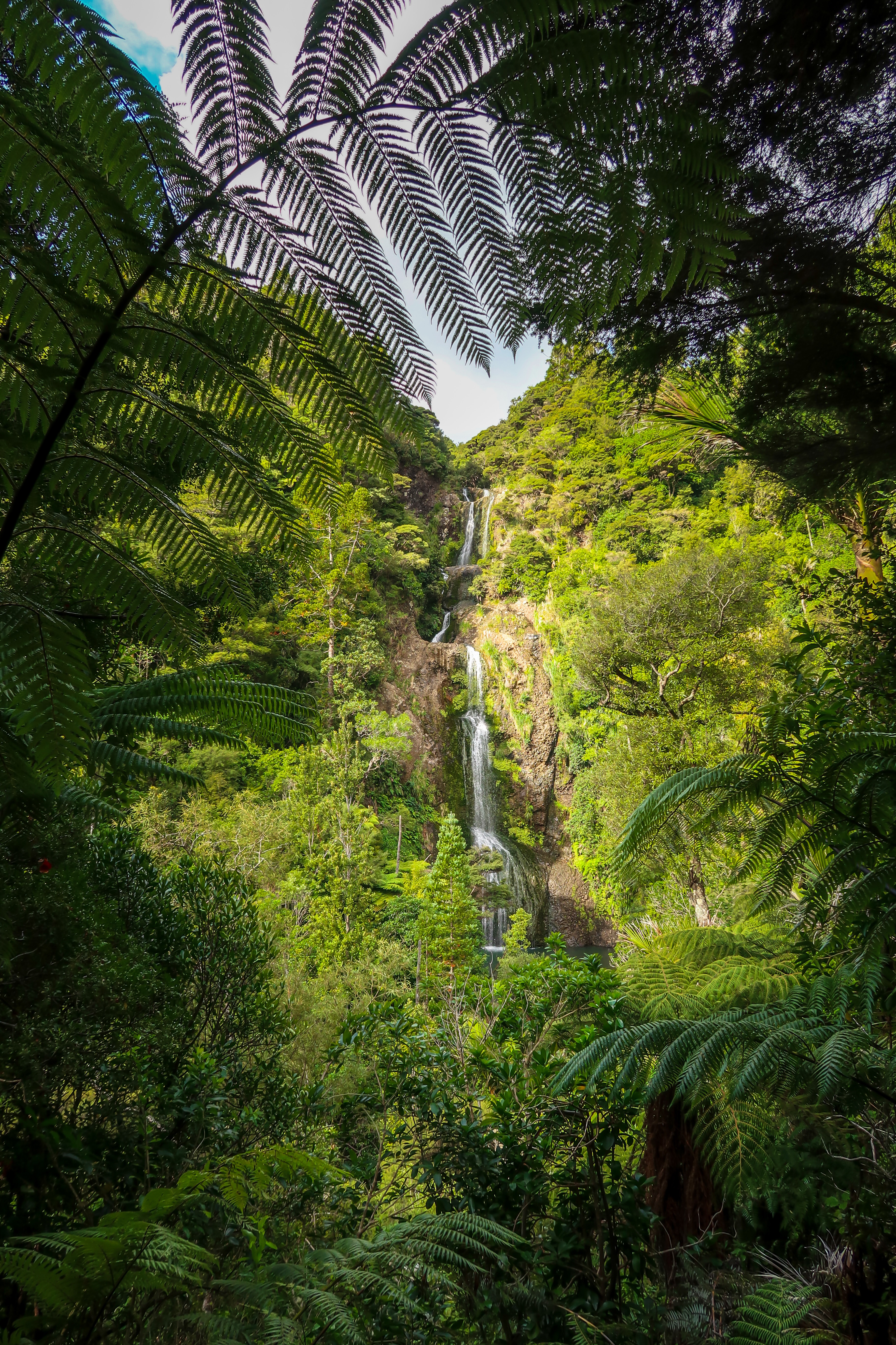 Download mobile wallpaper Bush, Trees, Waterfall, Tropics, Nature, Jungle for free.
