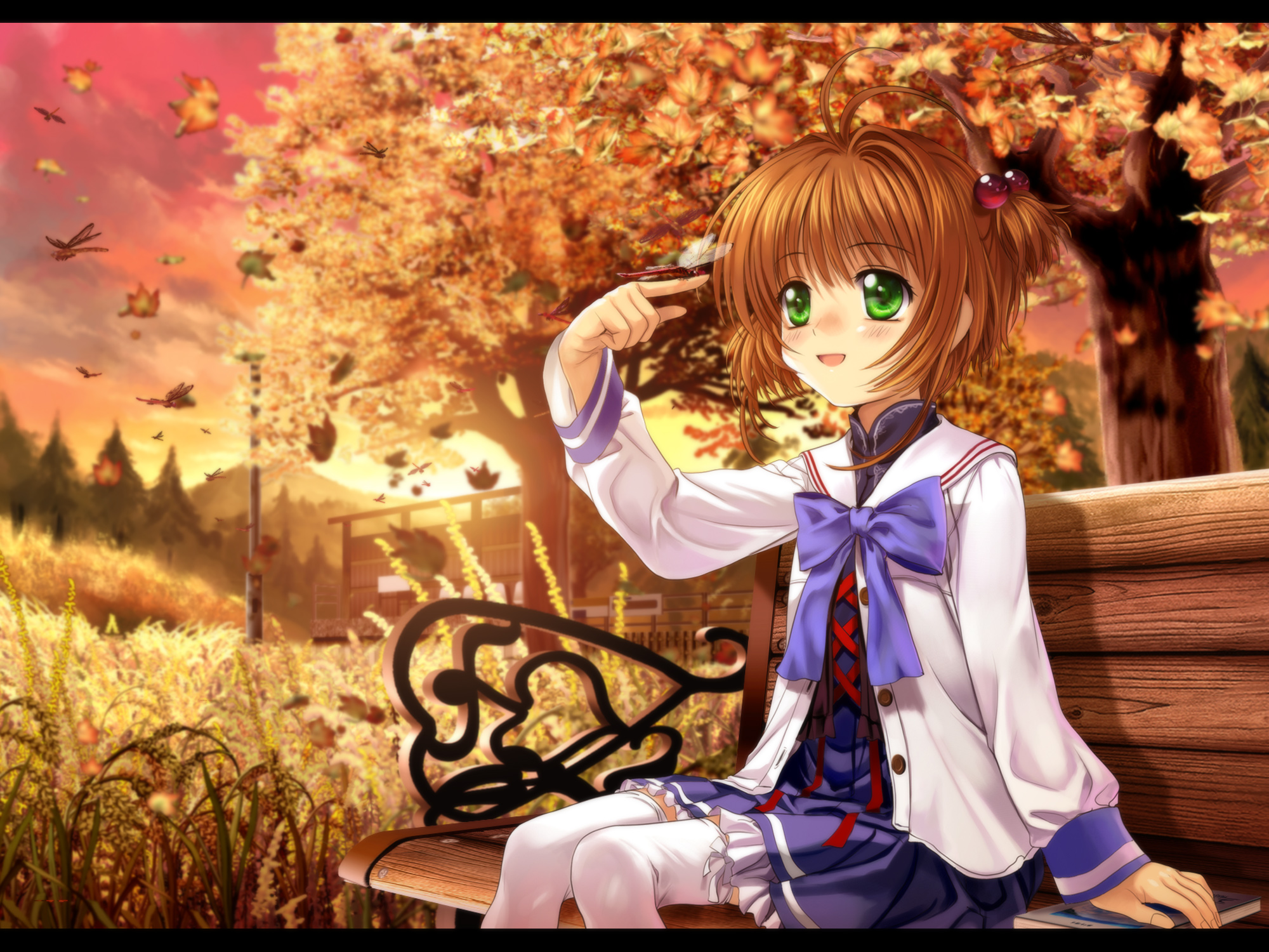 Baixar papel de parede para celular de Anime, Sakura Card Captors gratuito.