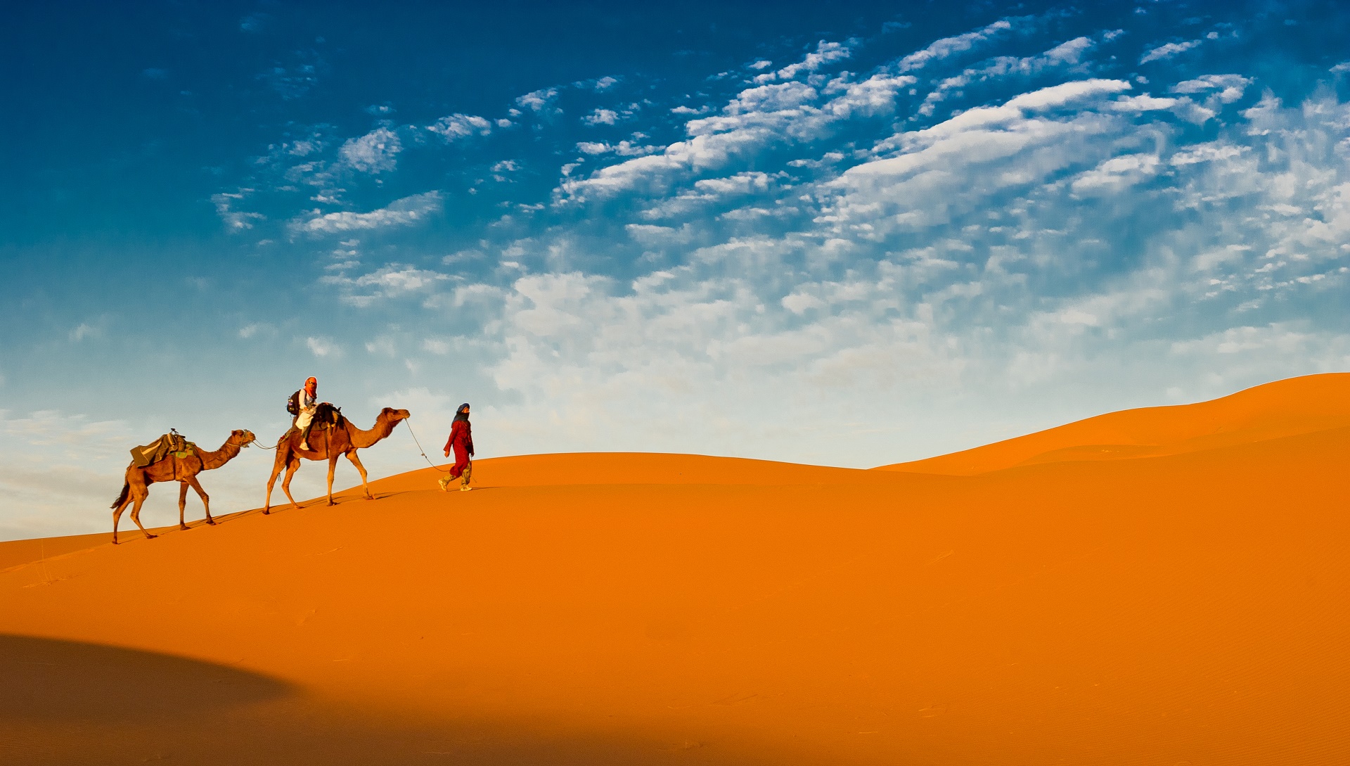 763479 baixar papel de parede fotografia, caravana, camelo, deserto - protetores de tela e imagens gratuitamente