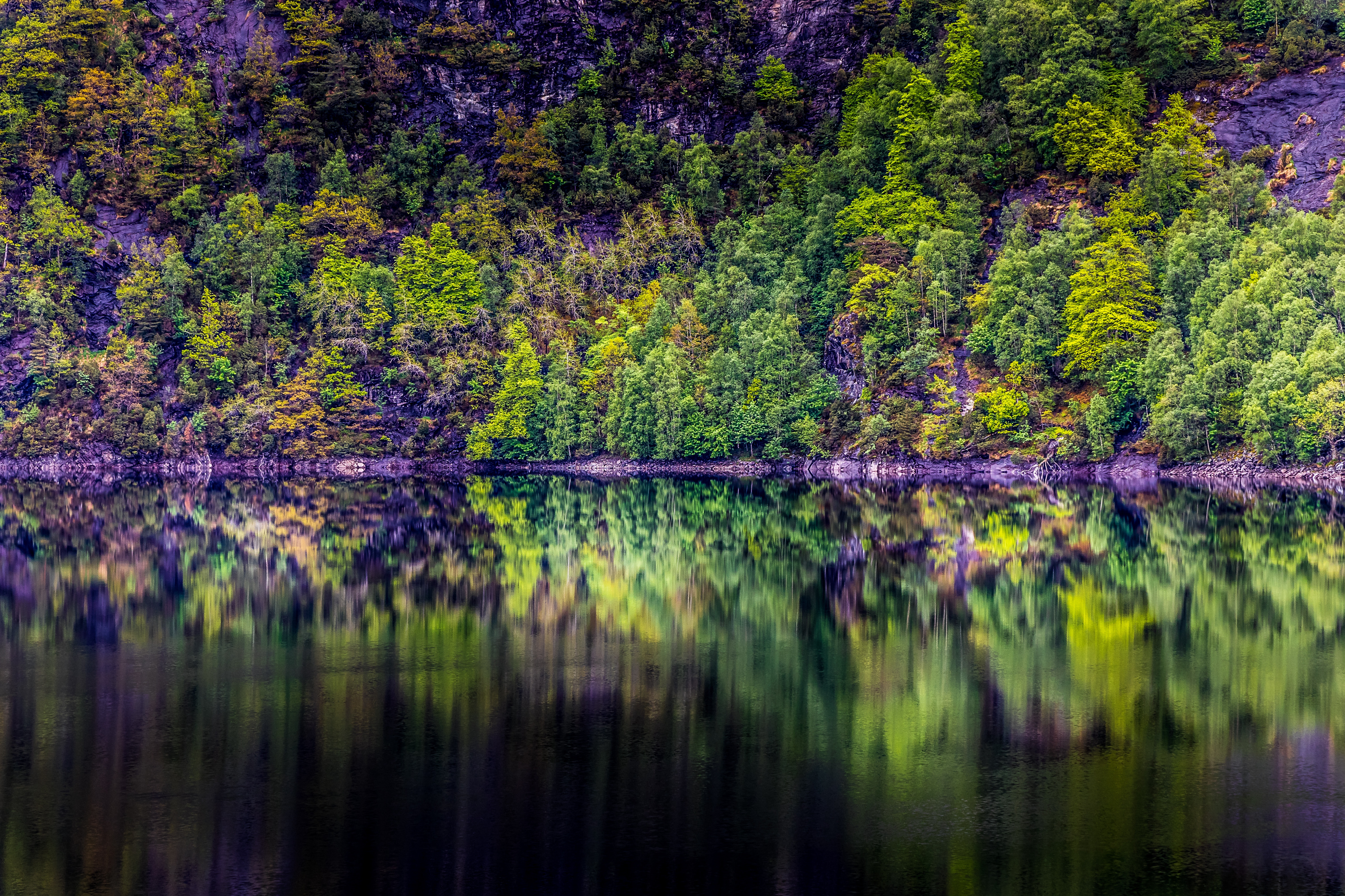 Laden Sie das Reflexion, Natur, Bäume, See, Wald-Bild kostenlos auf Ihren PC-Desktop herunter