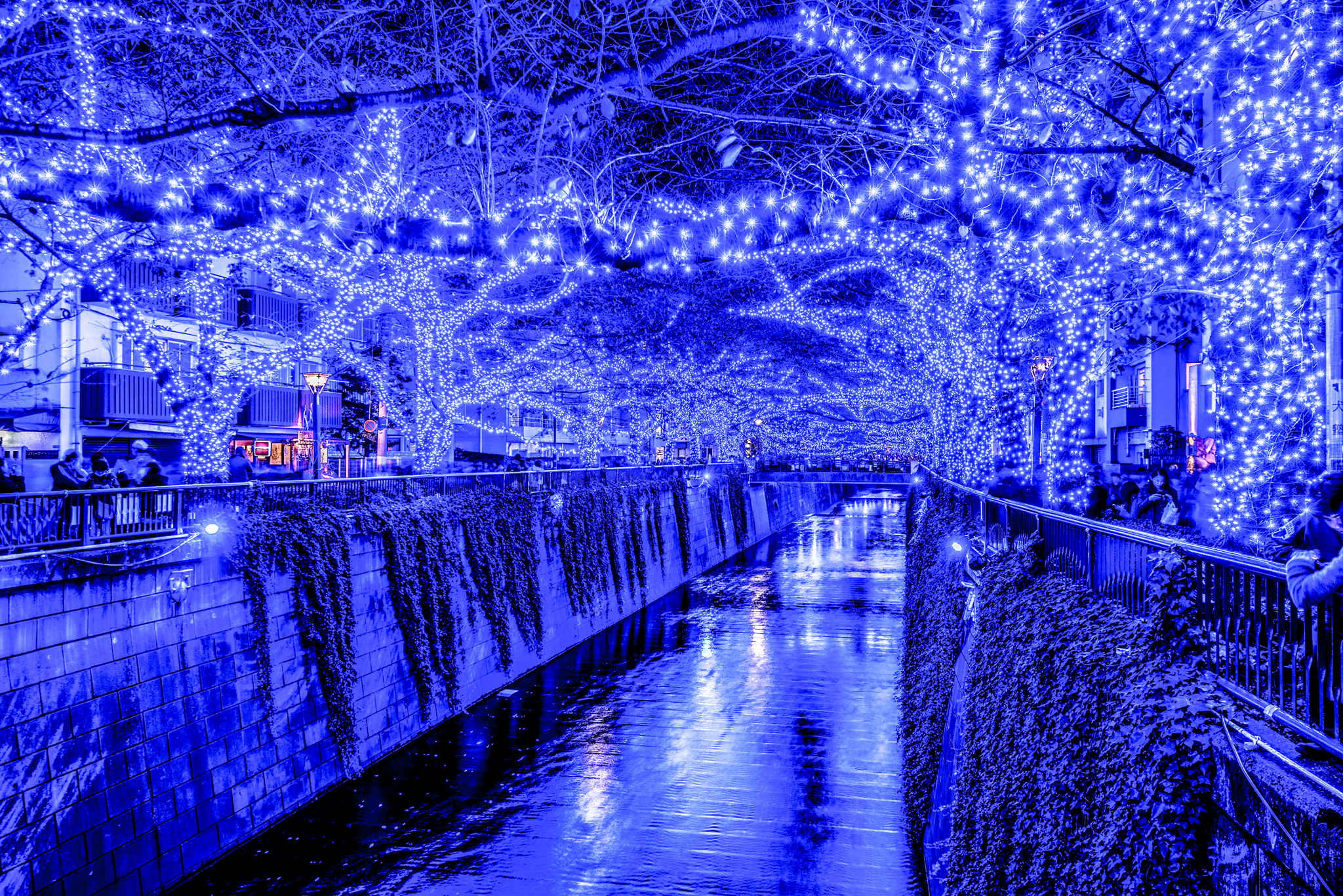 無料モバイル壁紙光, 青い, 東京, 夜, マンメイド, 運河をダウンロードします。