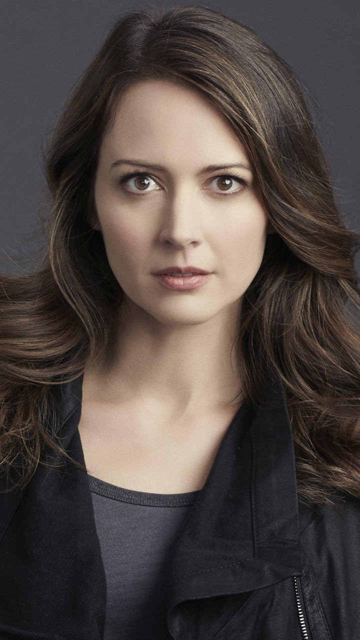 amy acker, tv show, person of interest