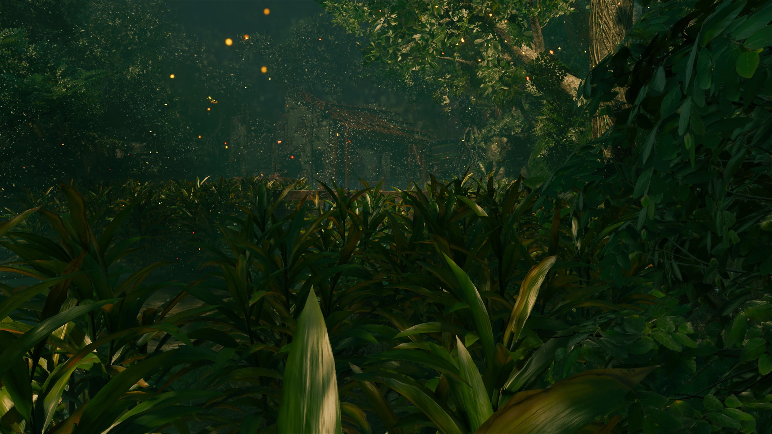Téléchargez gratuitement l'image Jungle, Jeux Vidéo, Shadow Of The Tomb Raider sur le bureau de votre PC