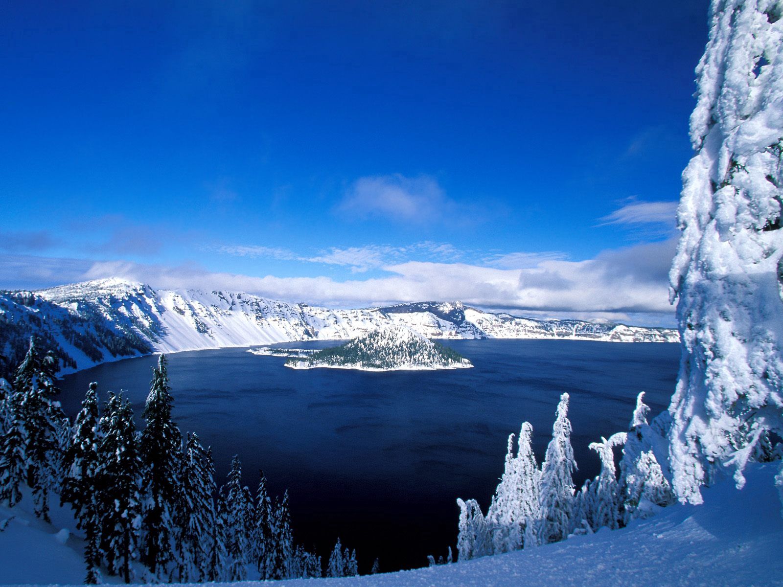 Download background nature, lake, winter, trees, mountains, snow, island