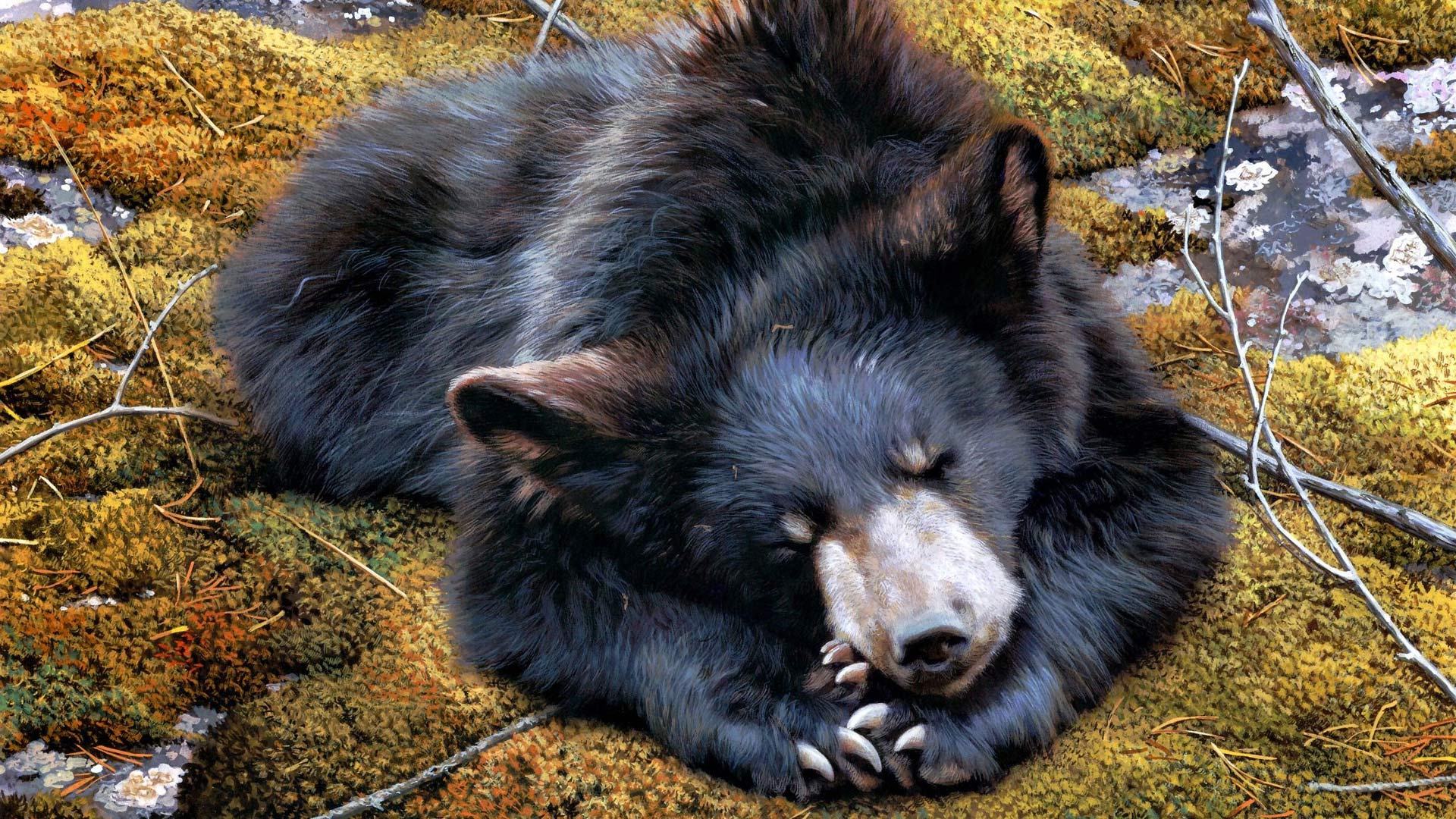 Laden Sie das Tiere, Bären, Sonnenbär-Bild kostenlos auf Ihren PC-Desktop herunter