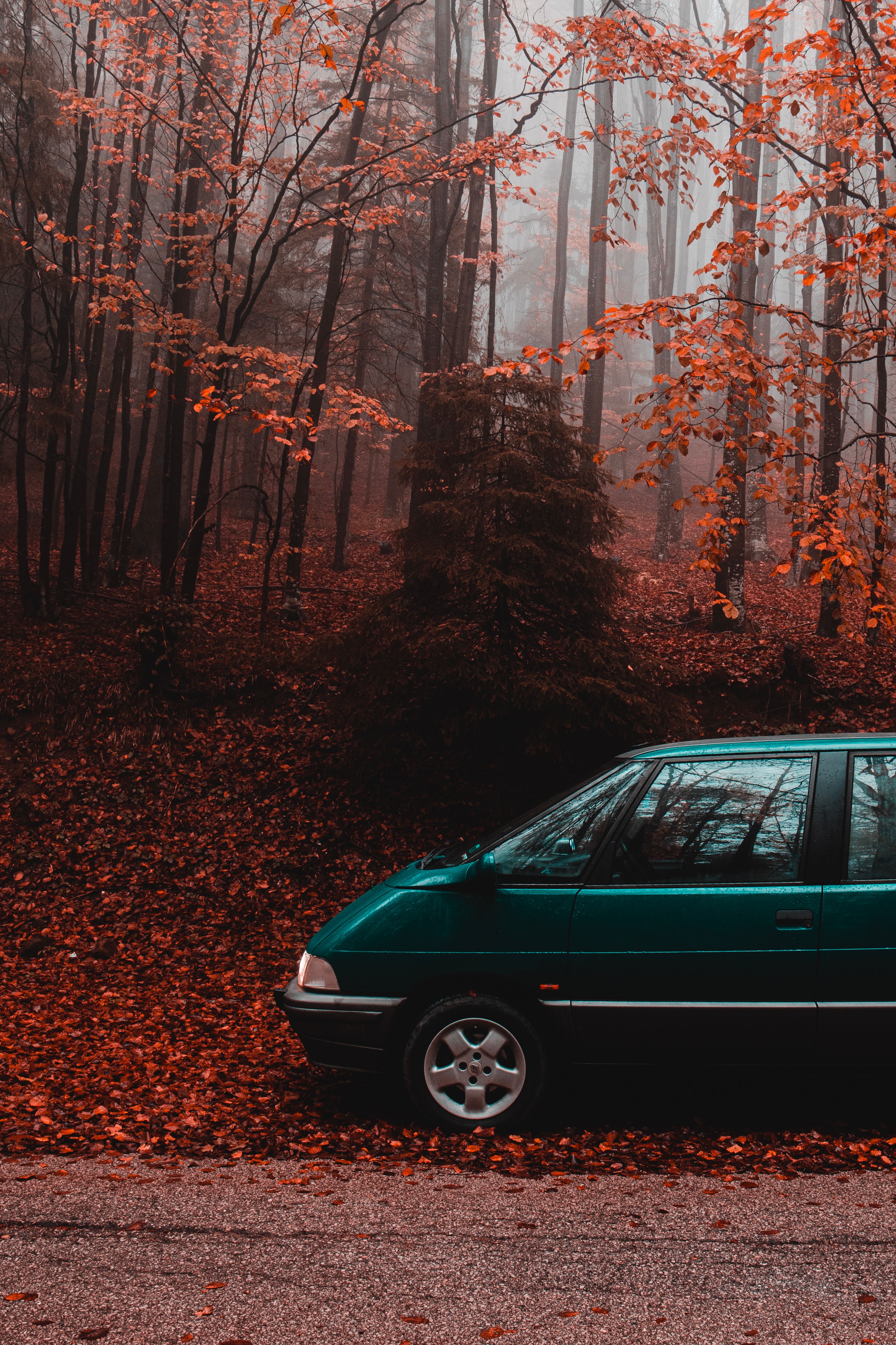 90314 descargar fondo de pantalla otoño, coches, bosque, carro, coche, camioneta, furgoneta: protectores de pantalla e imágenes gratis