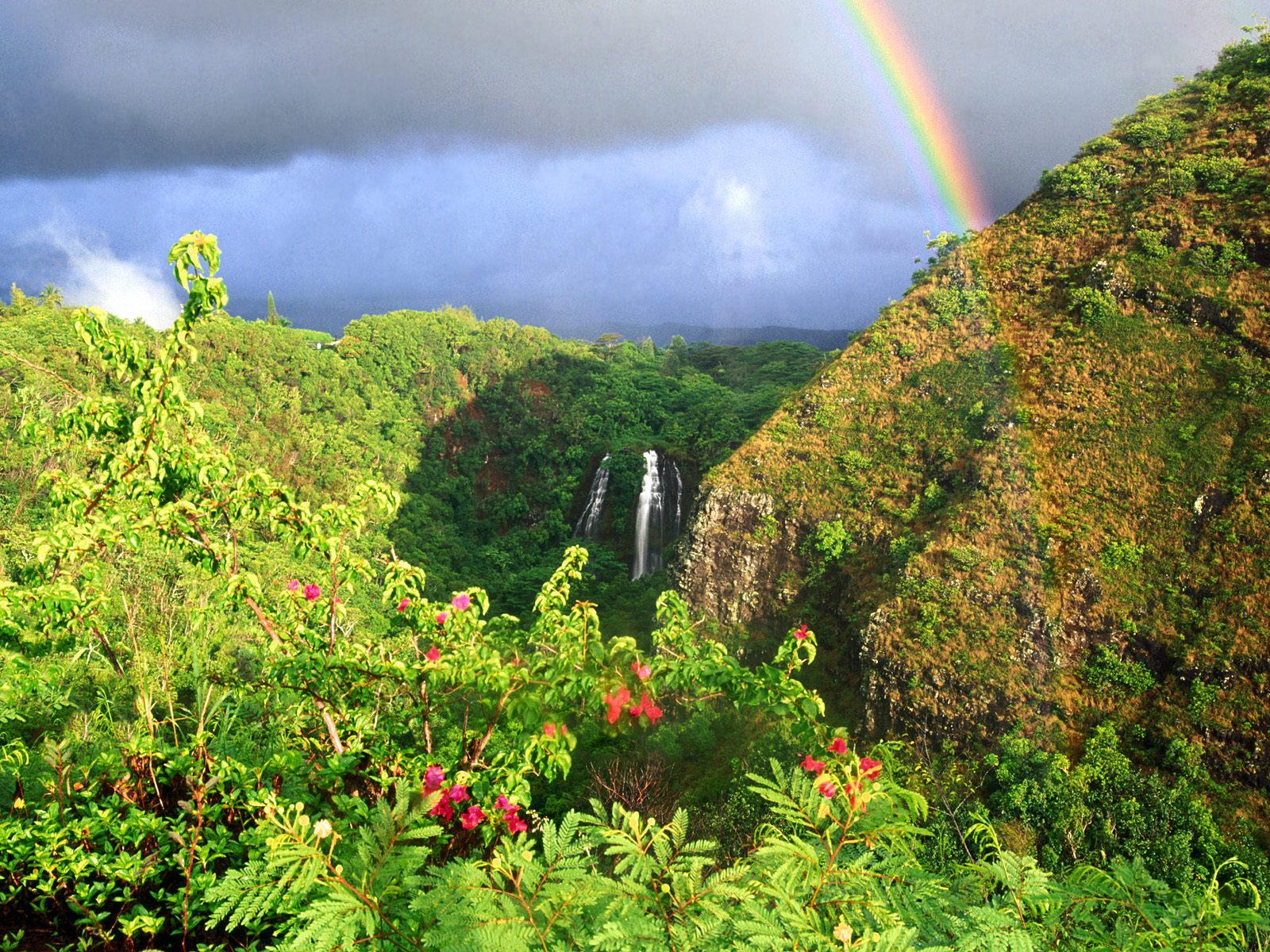 Free download wallpaper Rainbow, Mountain, Flower, Waterfall, Forest, Tree, Earth on your PC desktop