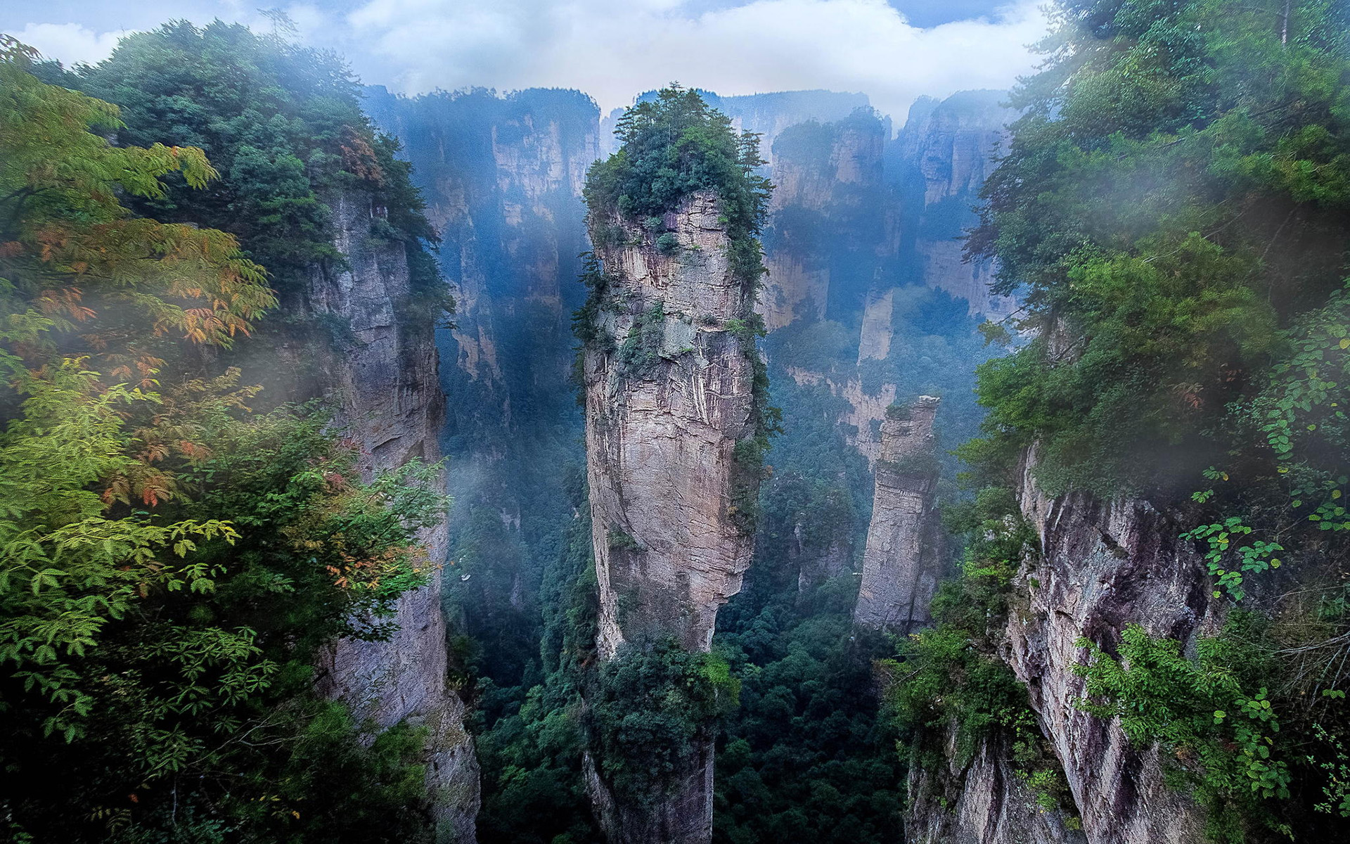 386962 descargar fondo de pantalla república popular china, tierra/naturaleza, parque forestal nacional de zhangjiajie, acantilado, árbol, parque nacional: protectores de pantalla e imágenes gratis