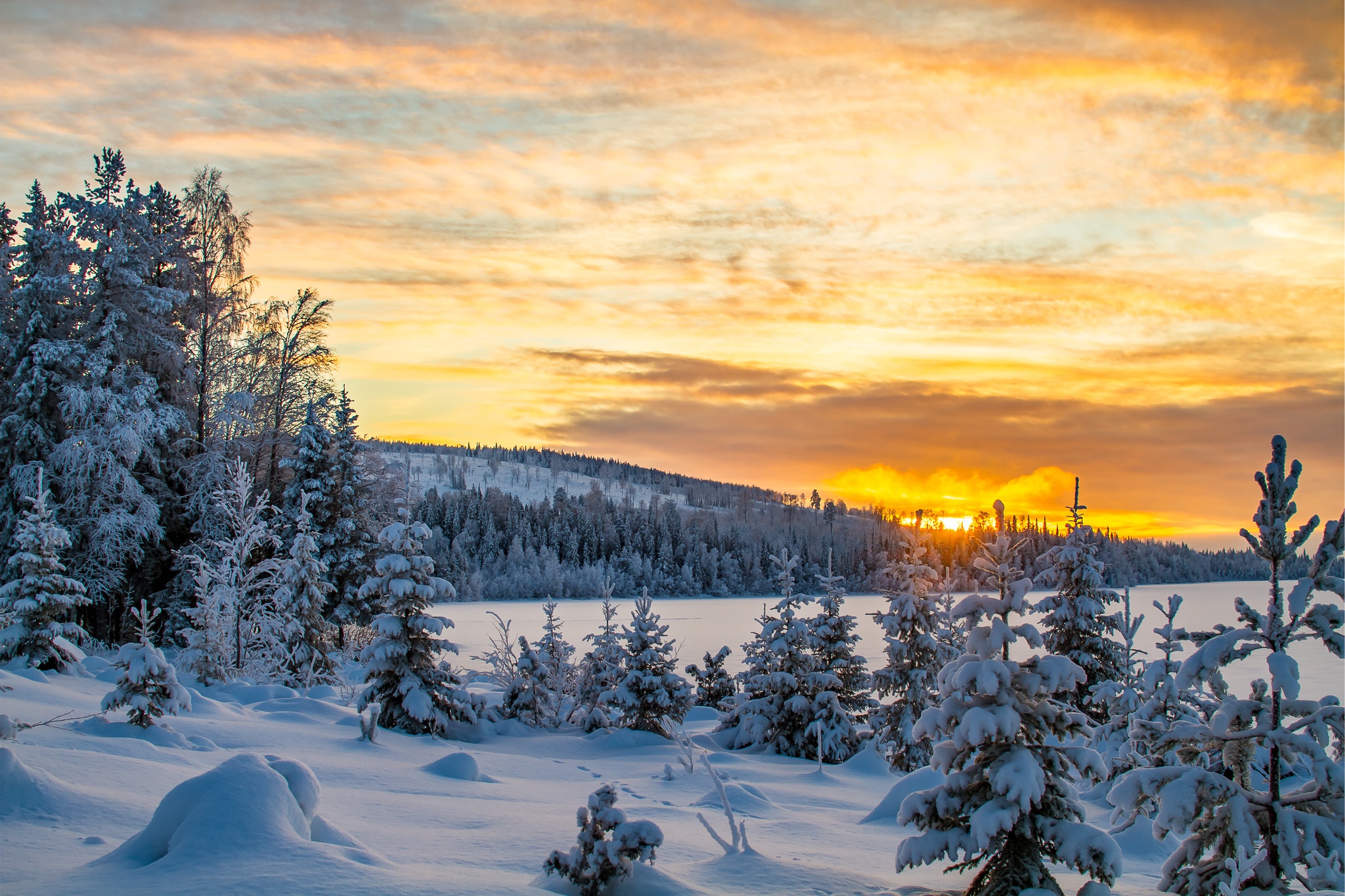 Laden Sie das Landschaft, Winter, Natur, Schnee, Baum, Sonnenaufgang, Wolke, Erde/natur-Bild kostenlos auf Ihren PC-Desktop herunter